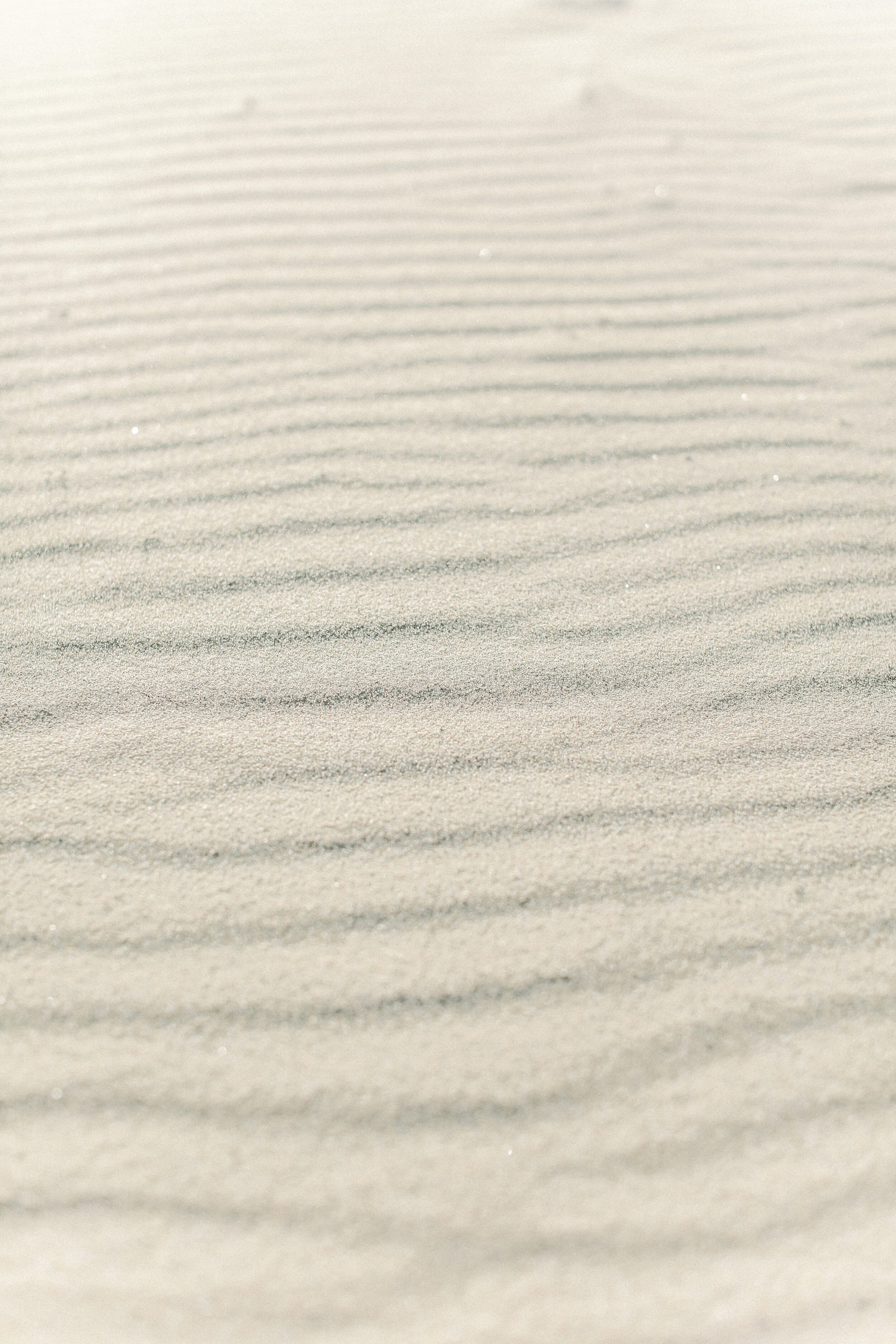 Cori-Kleckner-Photography-  sand ripples.JPG
