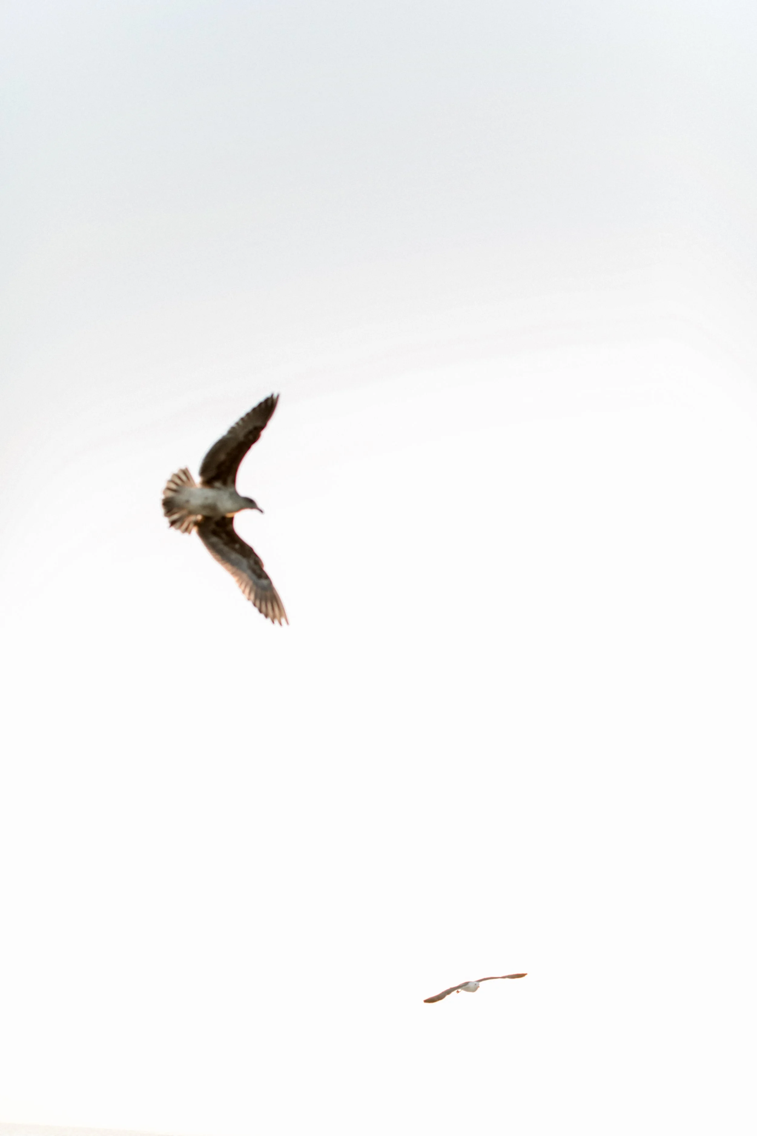 Cori Kleckner Photography- Maristela Family Session1-258.JPG