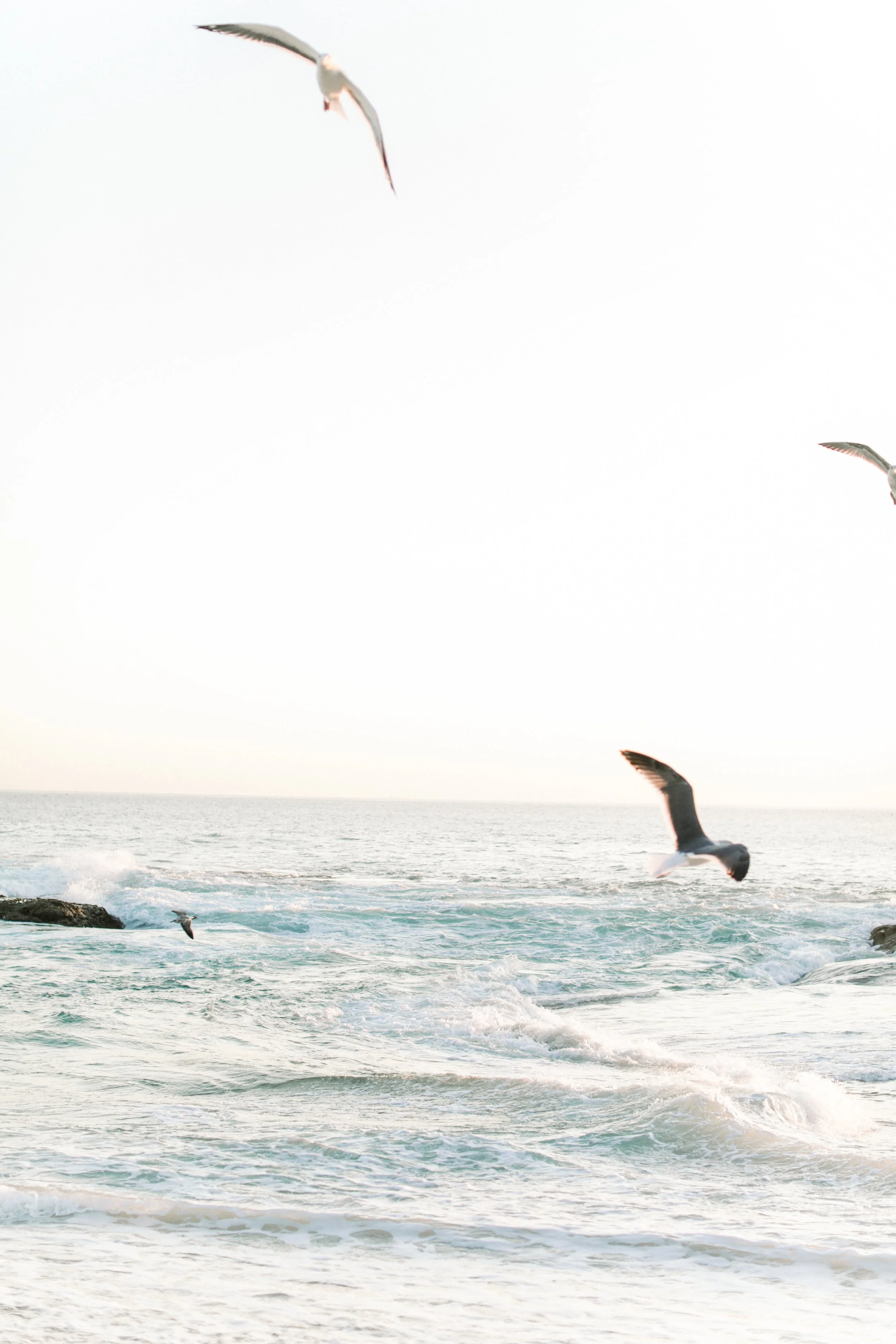 Cori Kleckner Photography- Maristela Family Session1-255.JPG