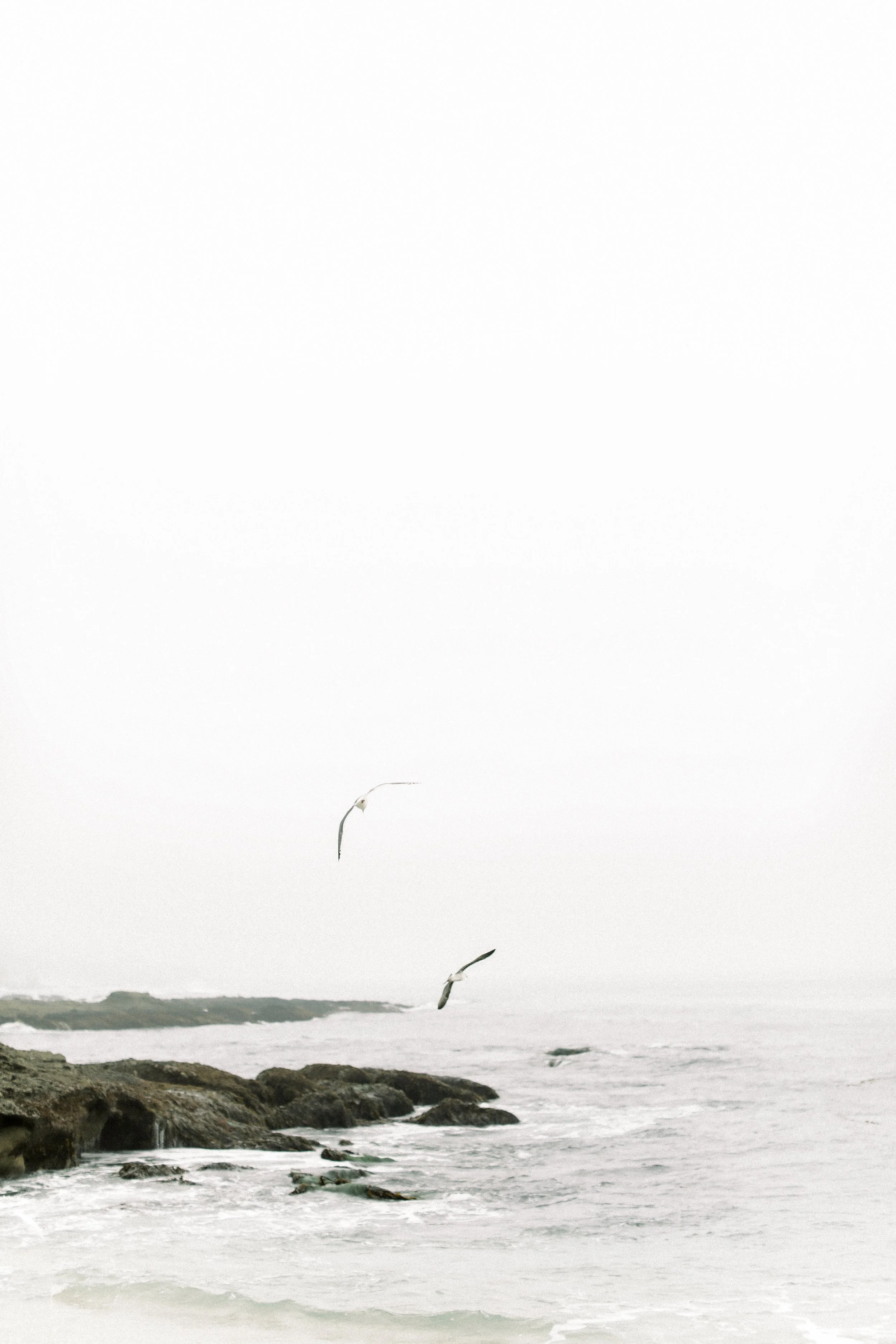 Cori Kleckner Photography- Yokyingyong Family Session1-246.JPG