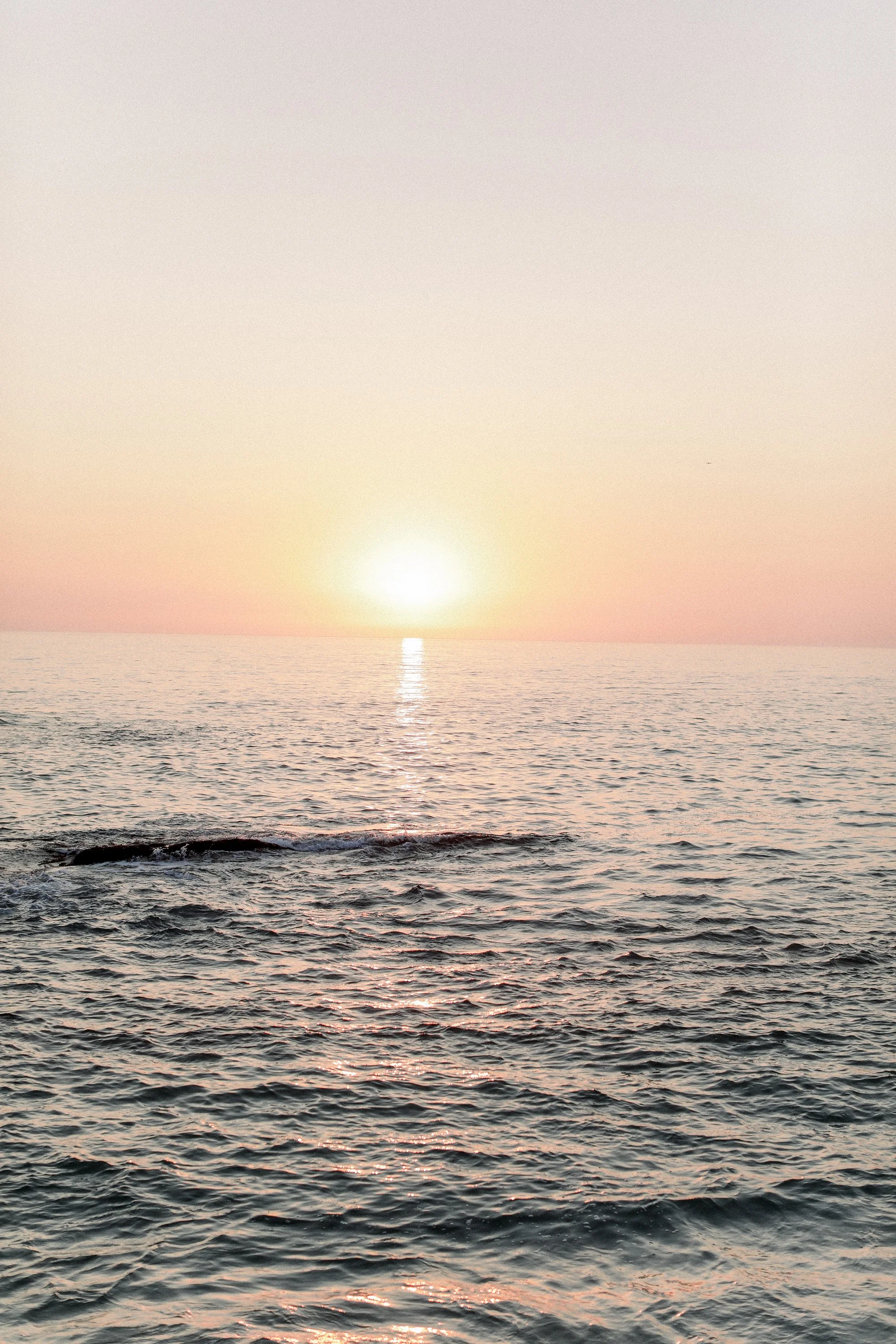 painting-sunset-imageresize.jpg