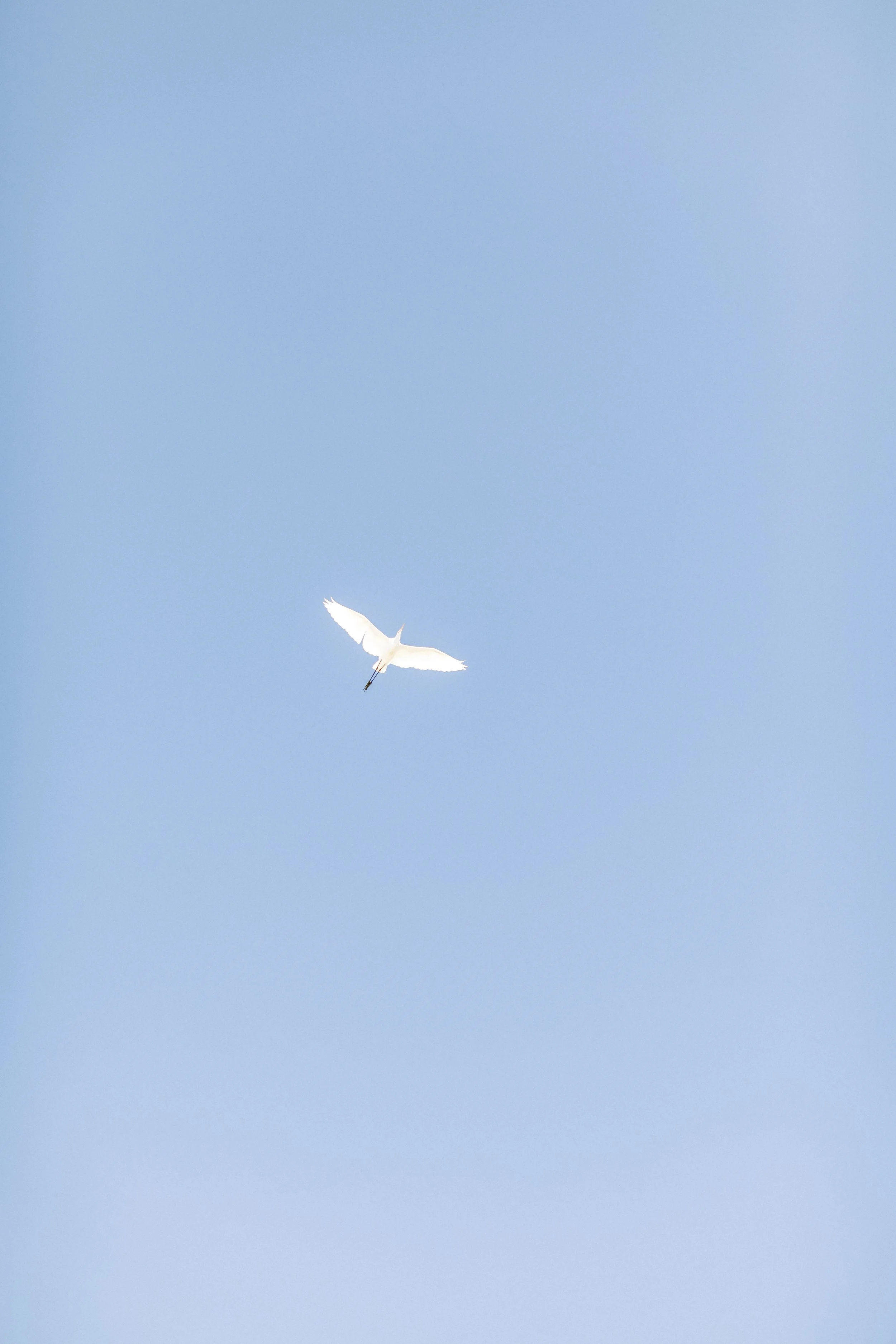 Cori Kleckner Photography-  Garber Family Session1-340.JPG