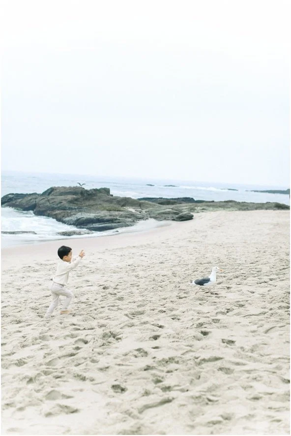 Cori_Kleckner_Photography_Newport_Beach_Photographer_Orange_County_Newport_Beach_Photographer_Laguna_Beach_Photographer_Family_Maternity_Photos_Orange_County_Family_Photographer_Laguna_Beach_Montage_Laguna_Photos_The_Hite_family__6779.jpg