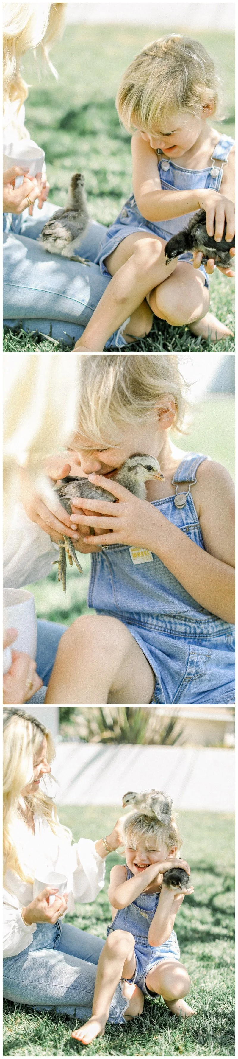 orange-county-family-photographer-nostalgic-lifestyle-session-with-chickens-yard-michelle-landon-liam-moore-family-_7738.jpg