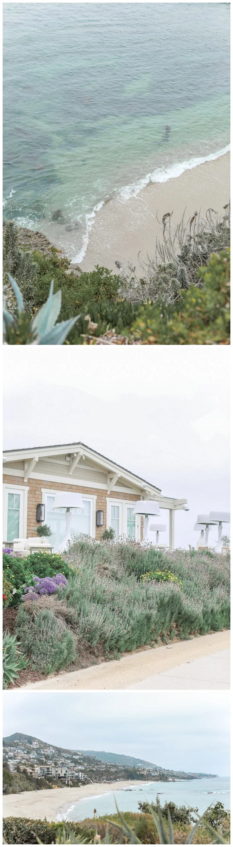 tanner-scott-laguna-beach-maternity-session-cori-kleckner-photograophy-beach-maternity-photos_8668.jpg
