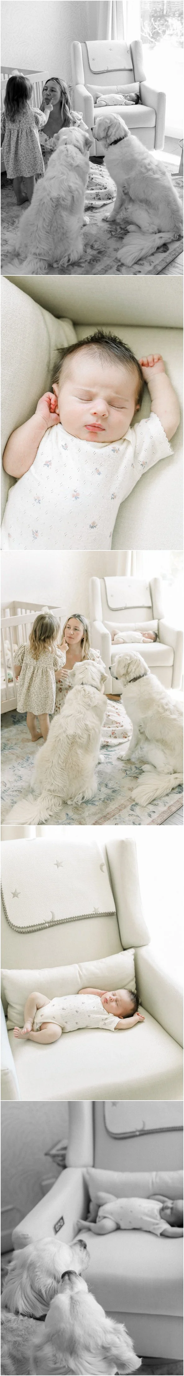 newport-beach-family-newborn-photographer-cori-kleckner-photography-best-orange-county-photographer-victoria-josh-samuels--_8883.jpg