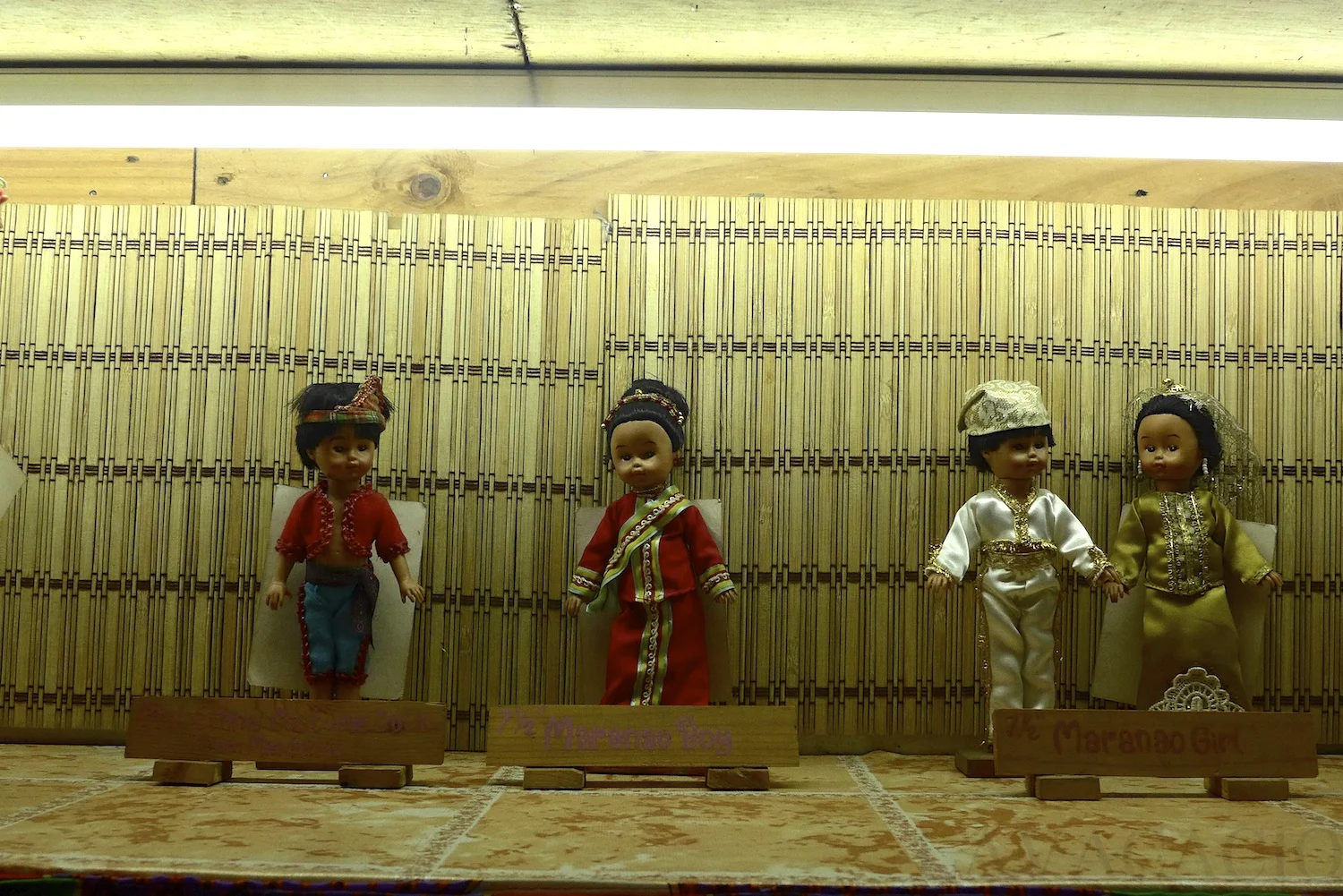 P1030931 COPY.jpg