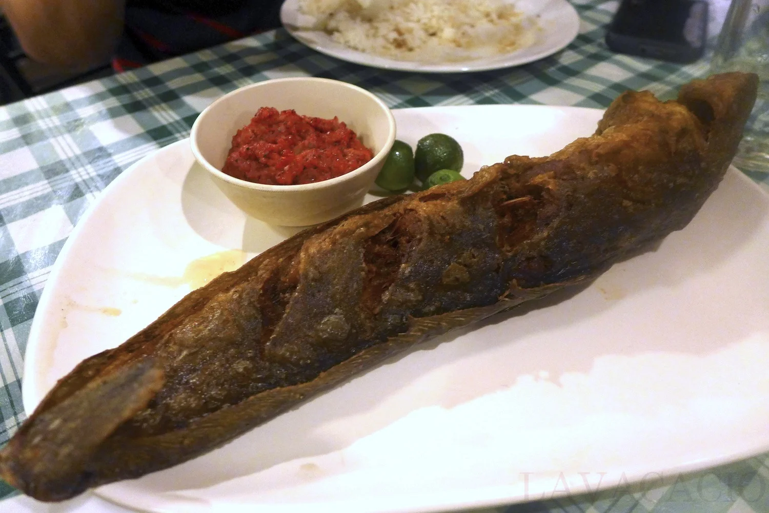 P1030568 COPY.jpg