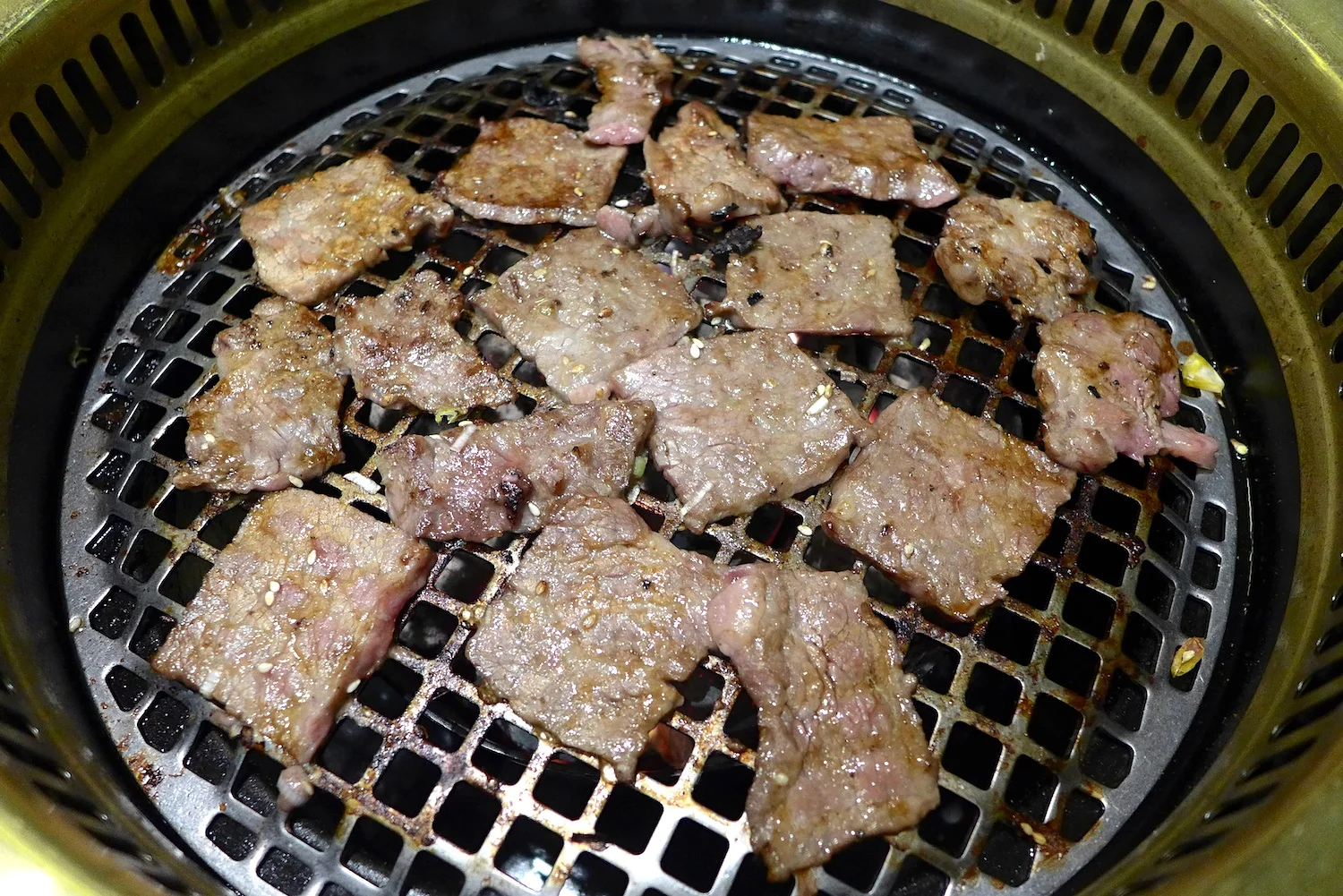 P1040105 copy.jpg