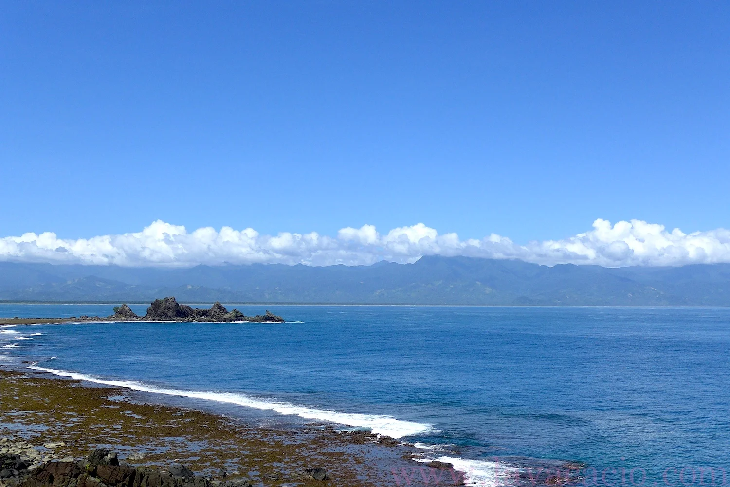 P1070698_copy.jpg