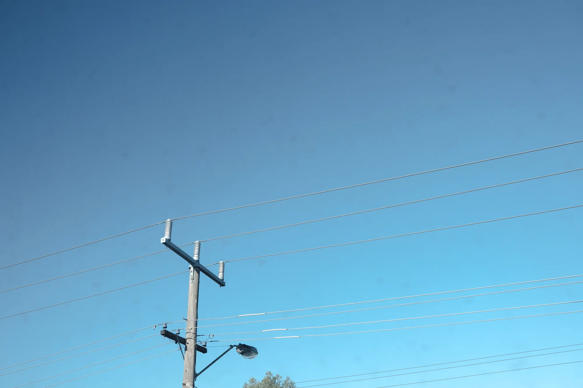 Project 365 Day 8: Autumn Blue