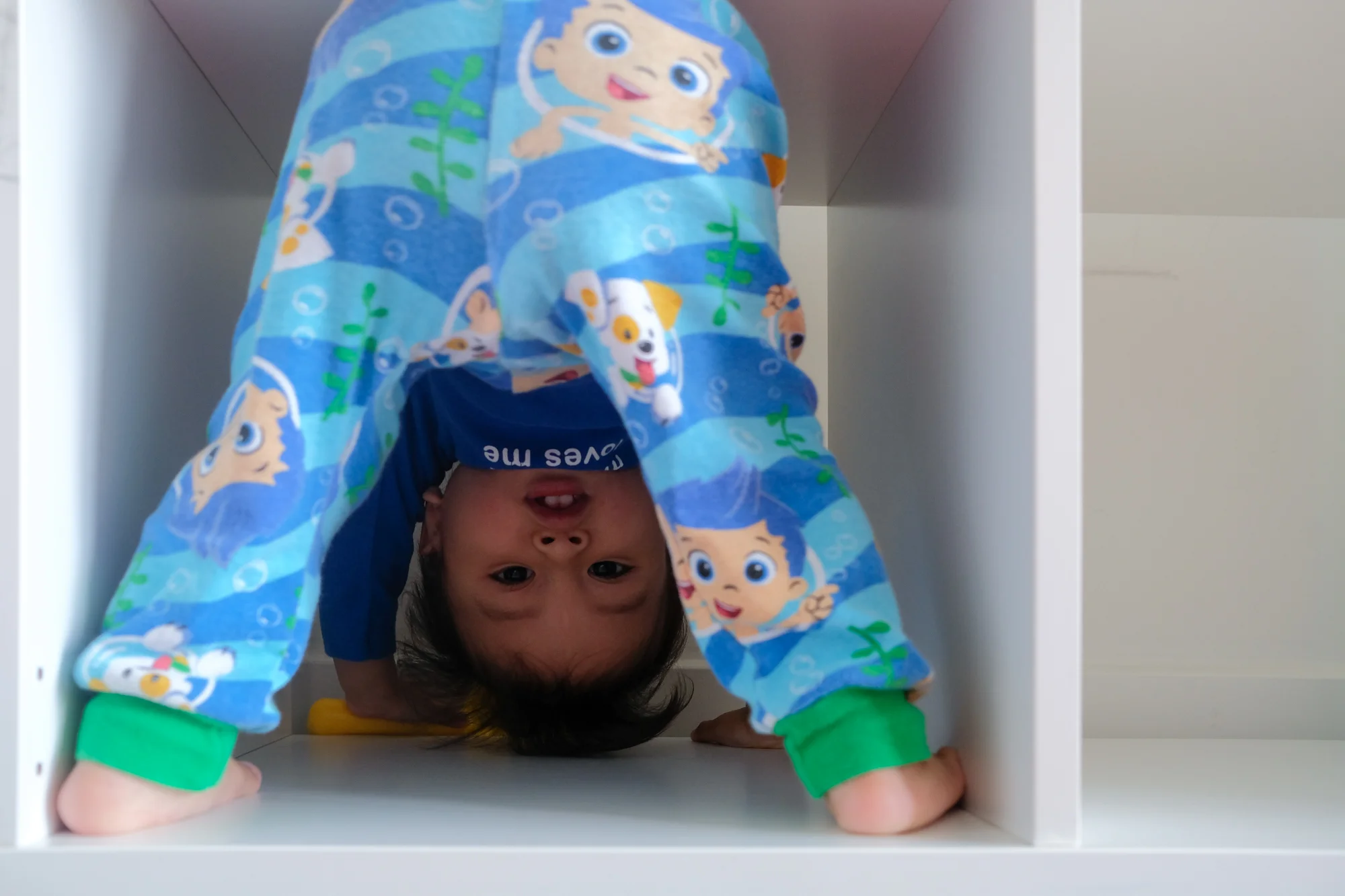 Project 365 Day 17: Downward Dog