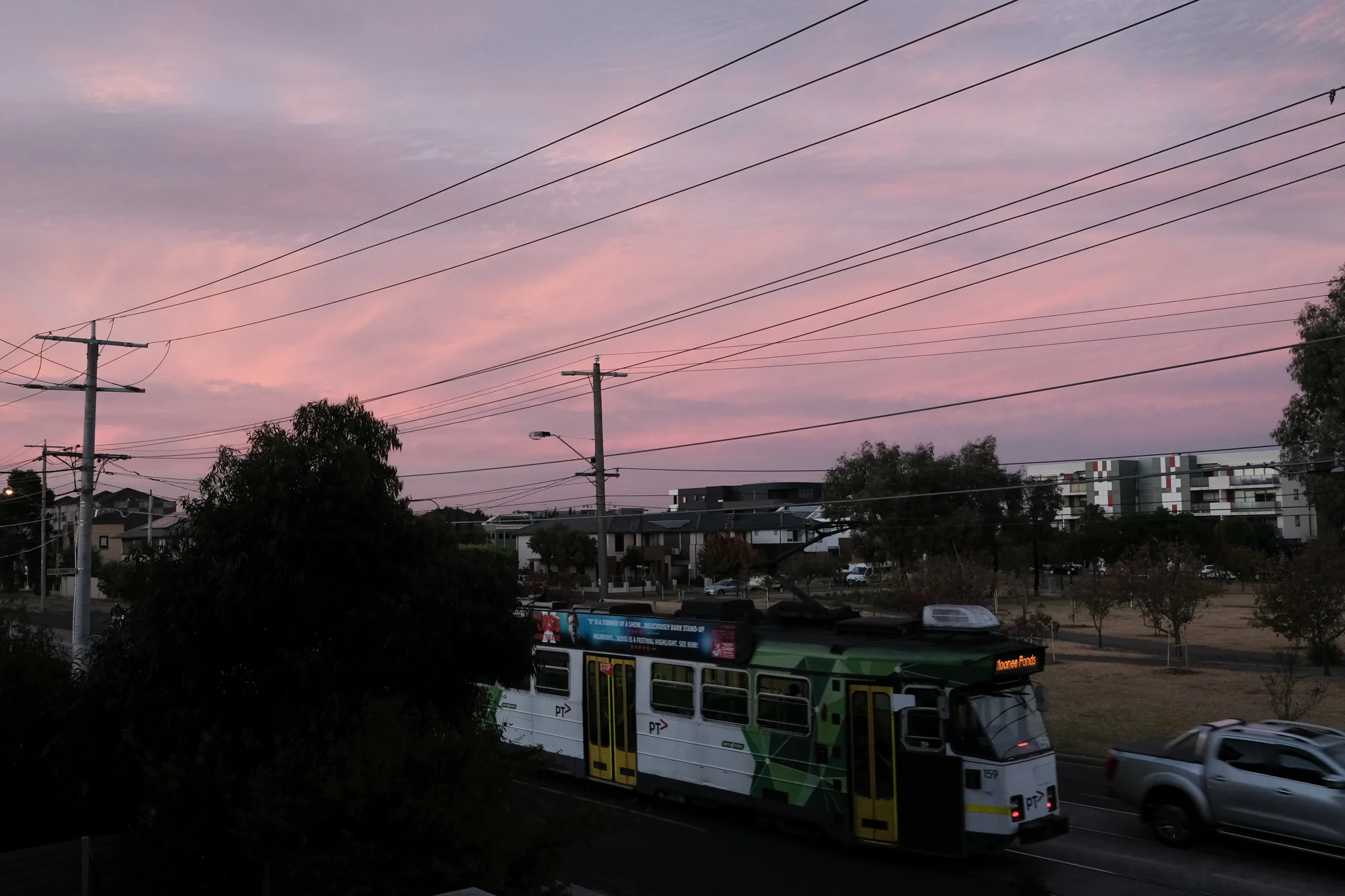 Project 365 Day 19: Pink Dusk