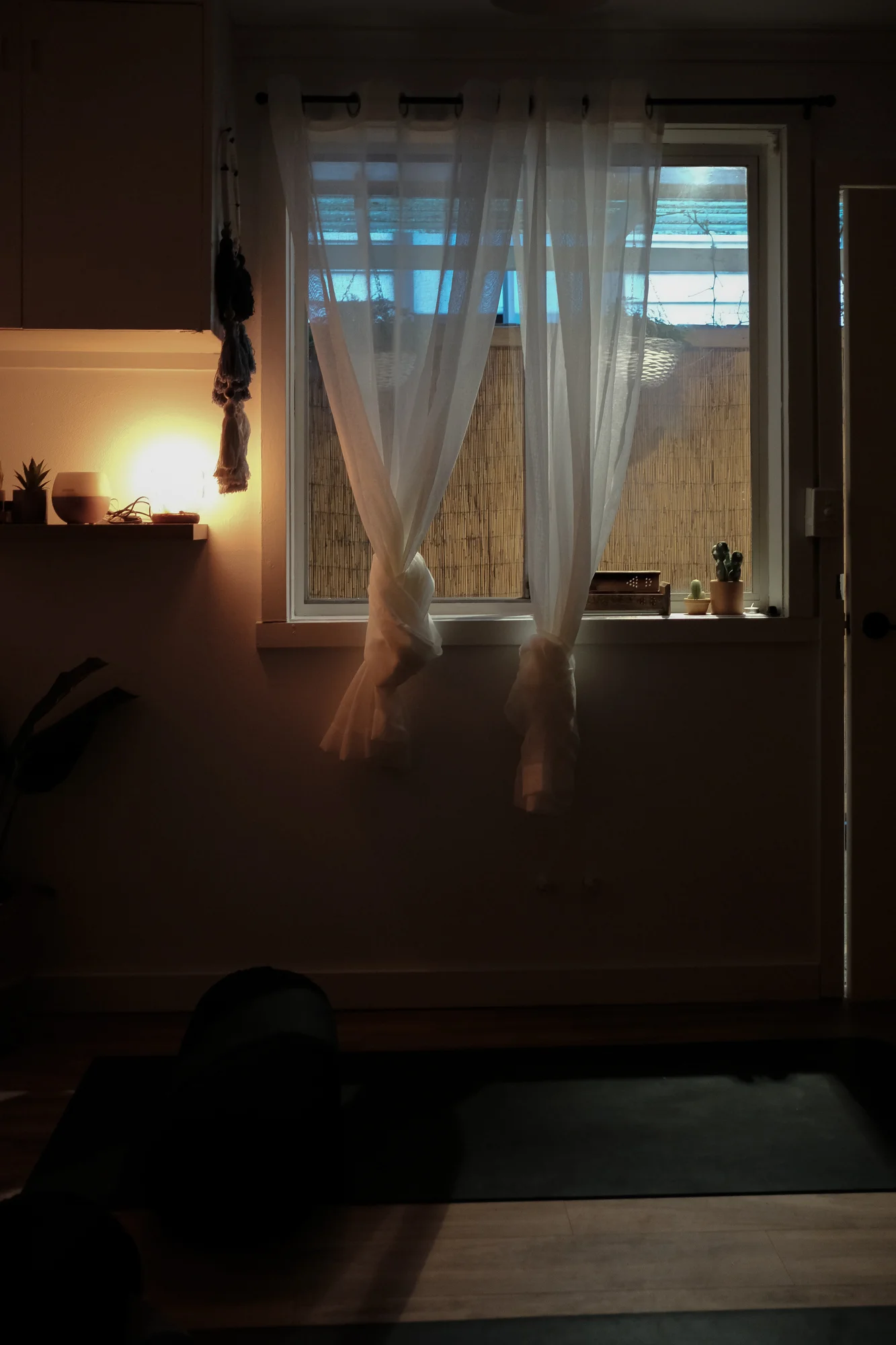 Project 365 Day 21: Night Light