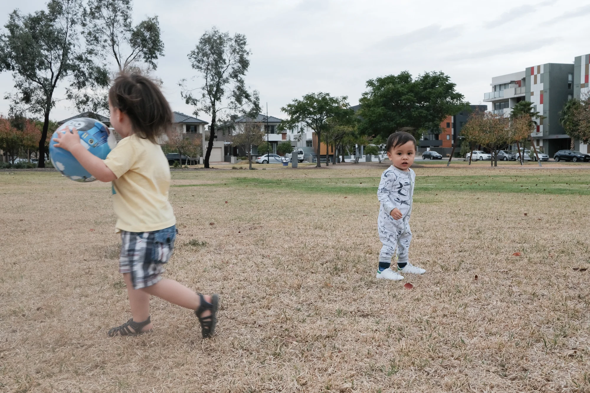 Project 365 Day 29: Play Mate