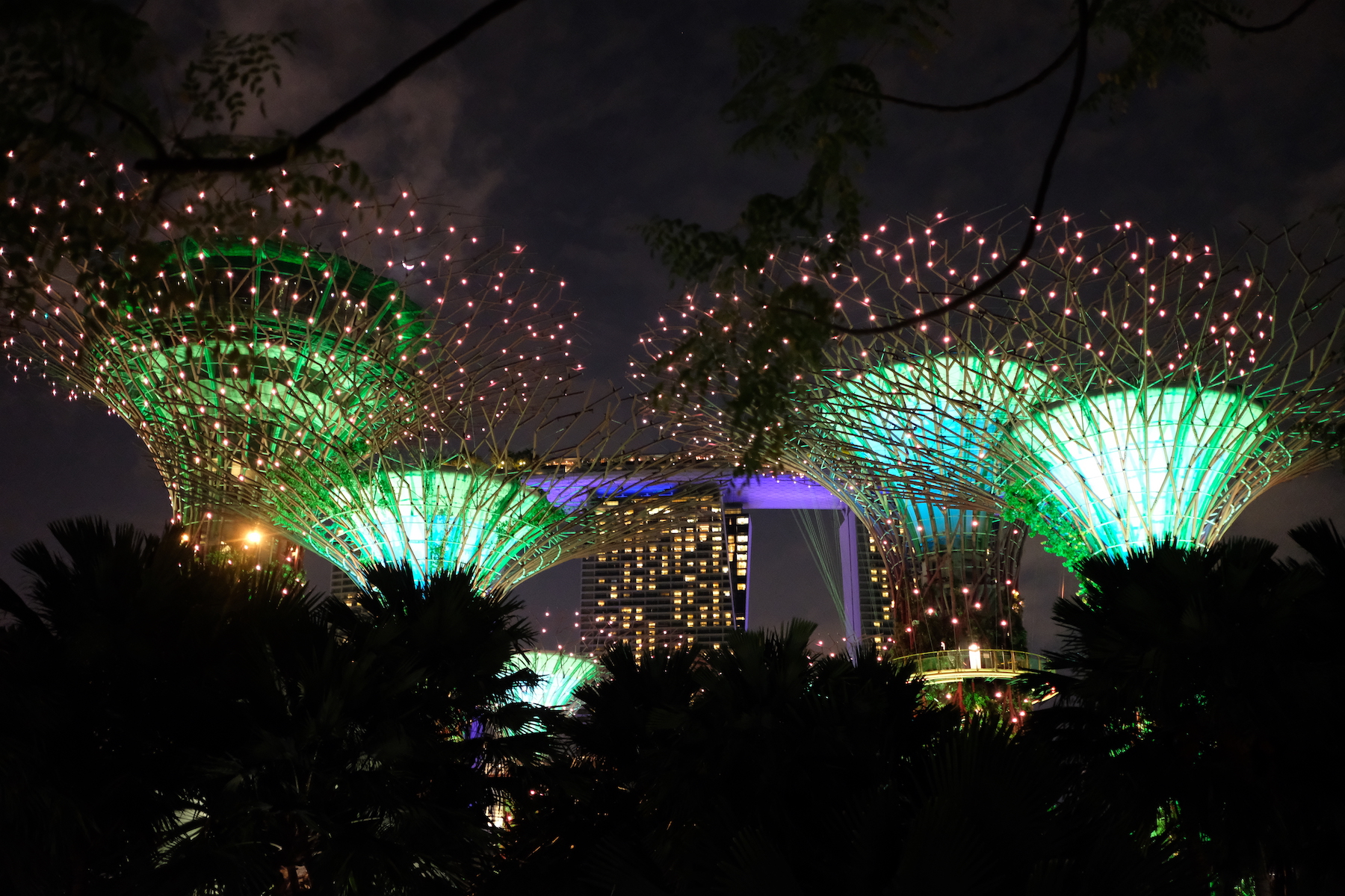 Summer in Singapore: Marina Barrage and Gardens by the Bay