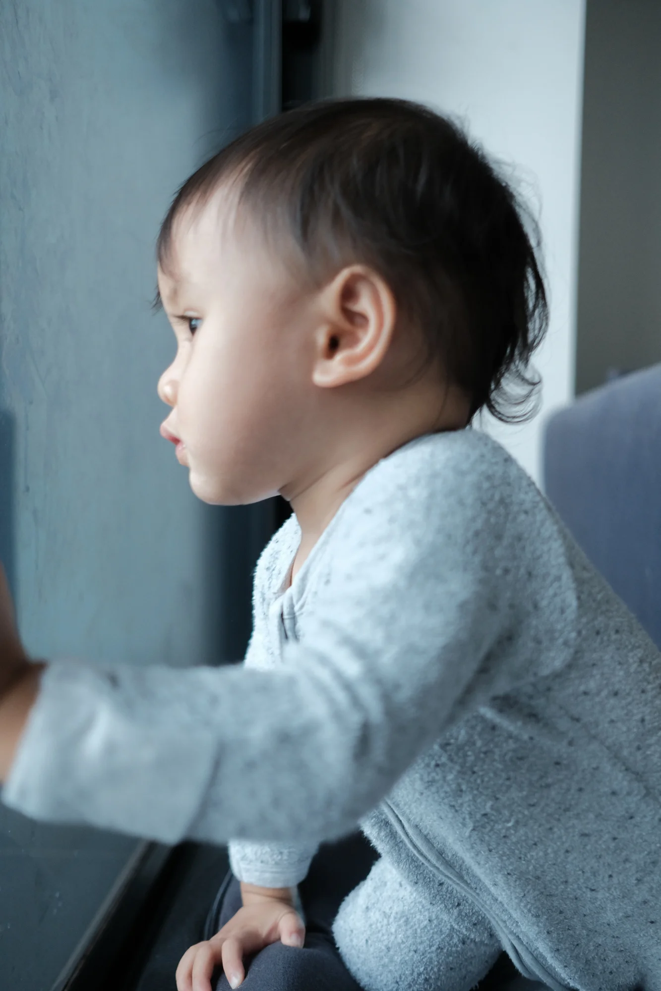 Project 365 Day 35: Staring At