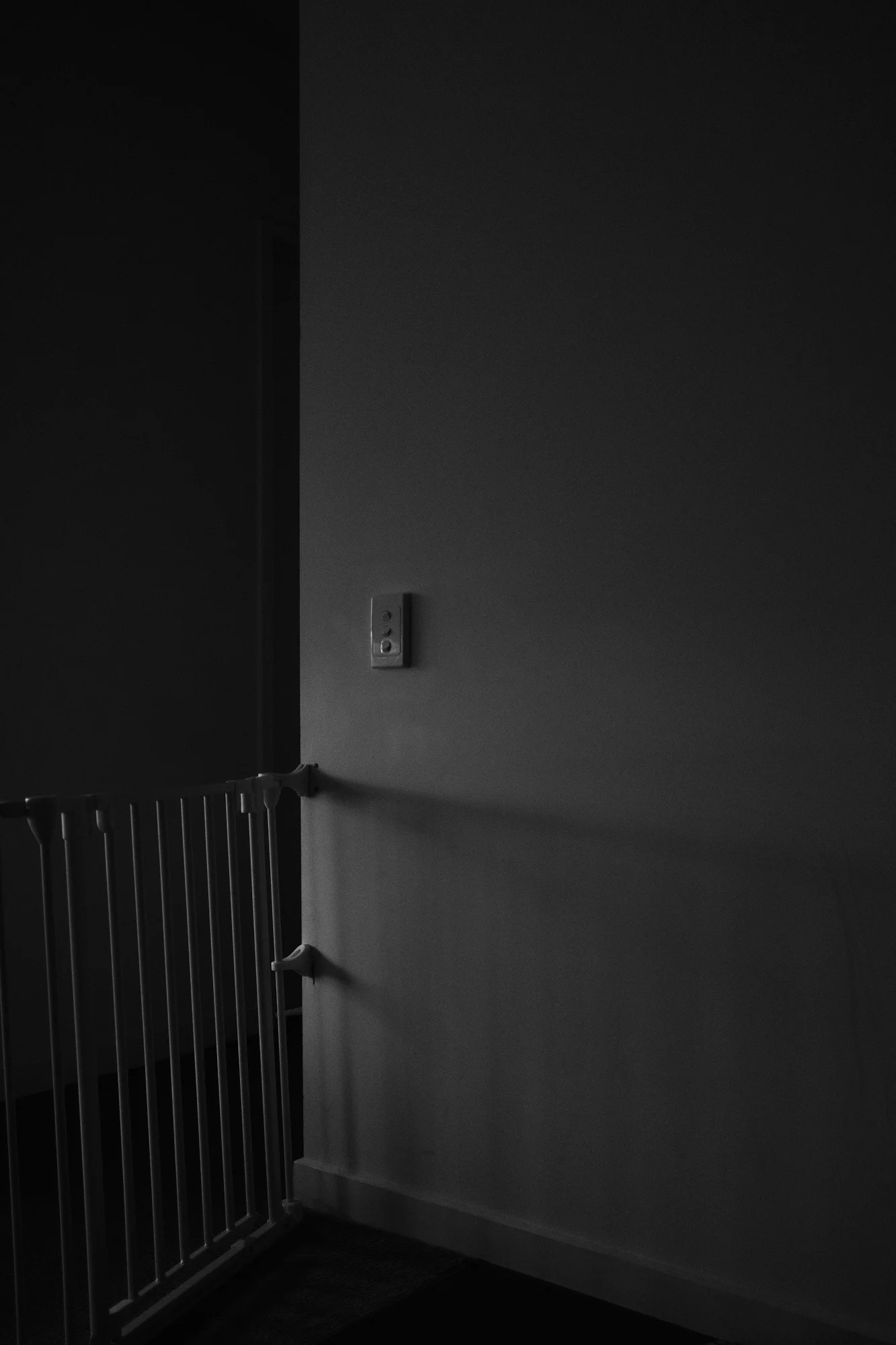 Project 365 Day 40: Cutting Corners