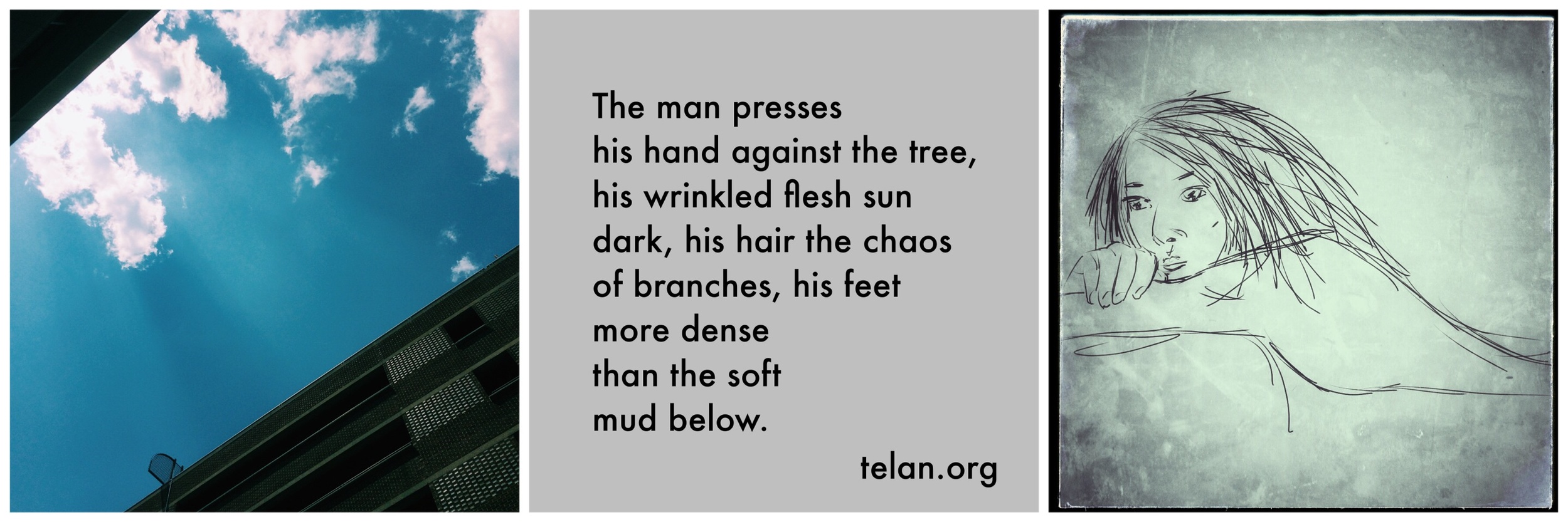 #JawnADay 2014-07-07 The man presses his hand against the tree, his wrinkled flesh sun dark, his hair the chaos of branches, his feet more dense than the soft mud below.