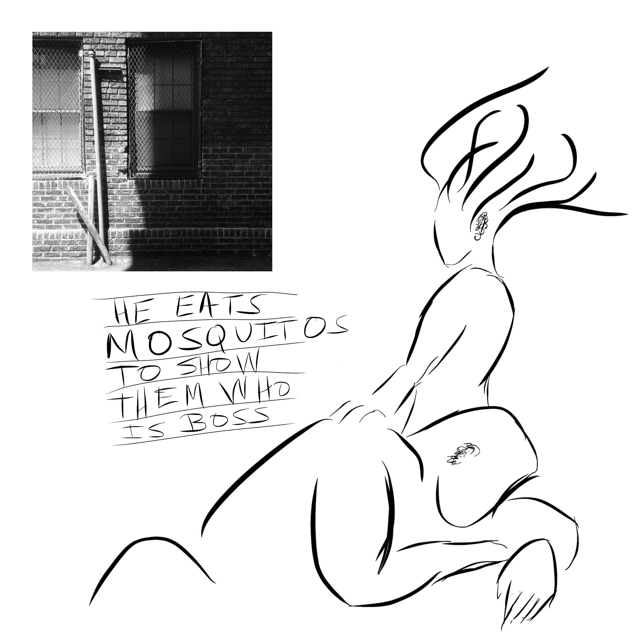 #JawnADay 2014-07-18 He eats mosquitos to show them who is boss. 