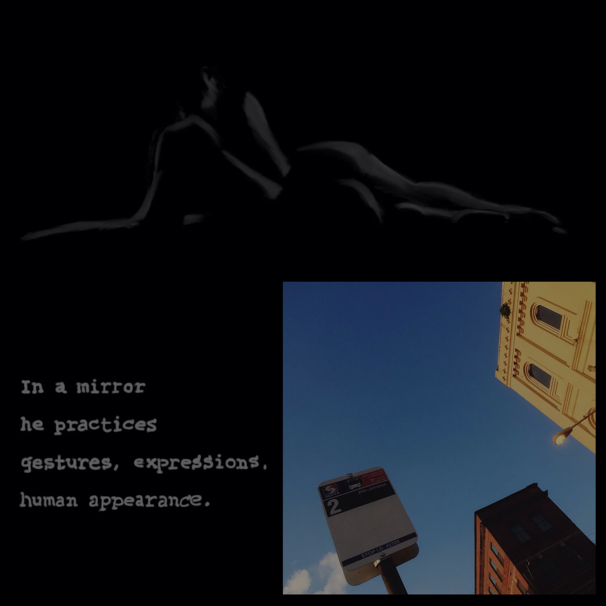 #JawnADay 2014-07-27 In a mirror he practices gestures, expressions, human appearance.