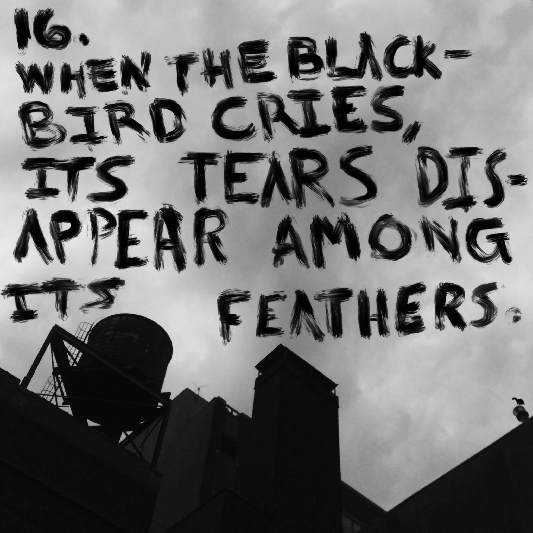 #JawnADay 2014-08-10 16. When blackbird cries, its tears disappear among its feathers. 
