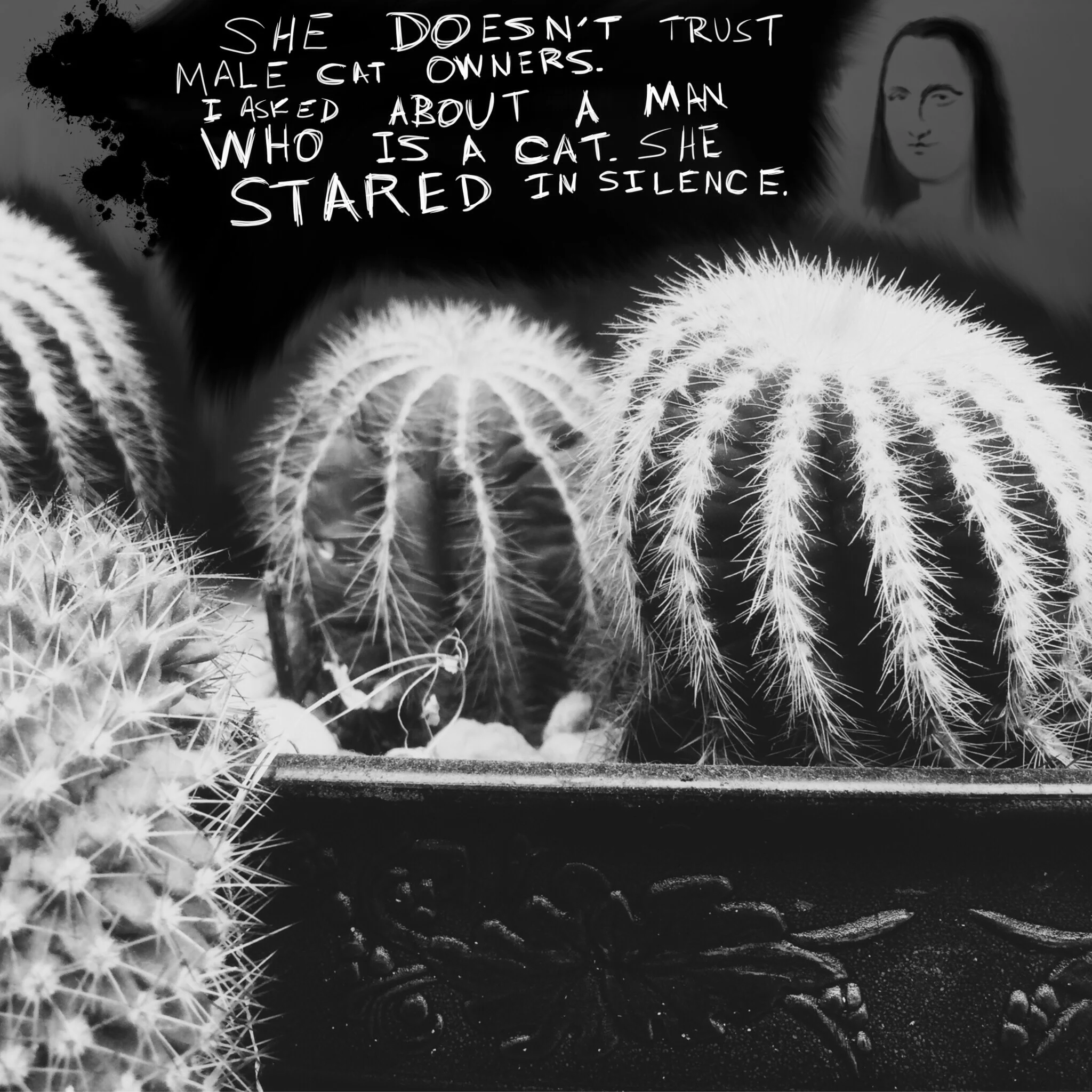 #JawnADay 2014-08-20 She doesn't trust a male cat owner.