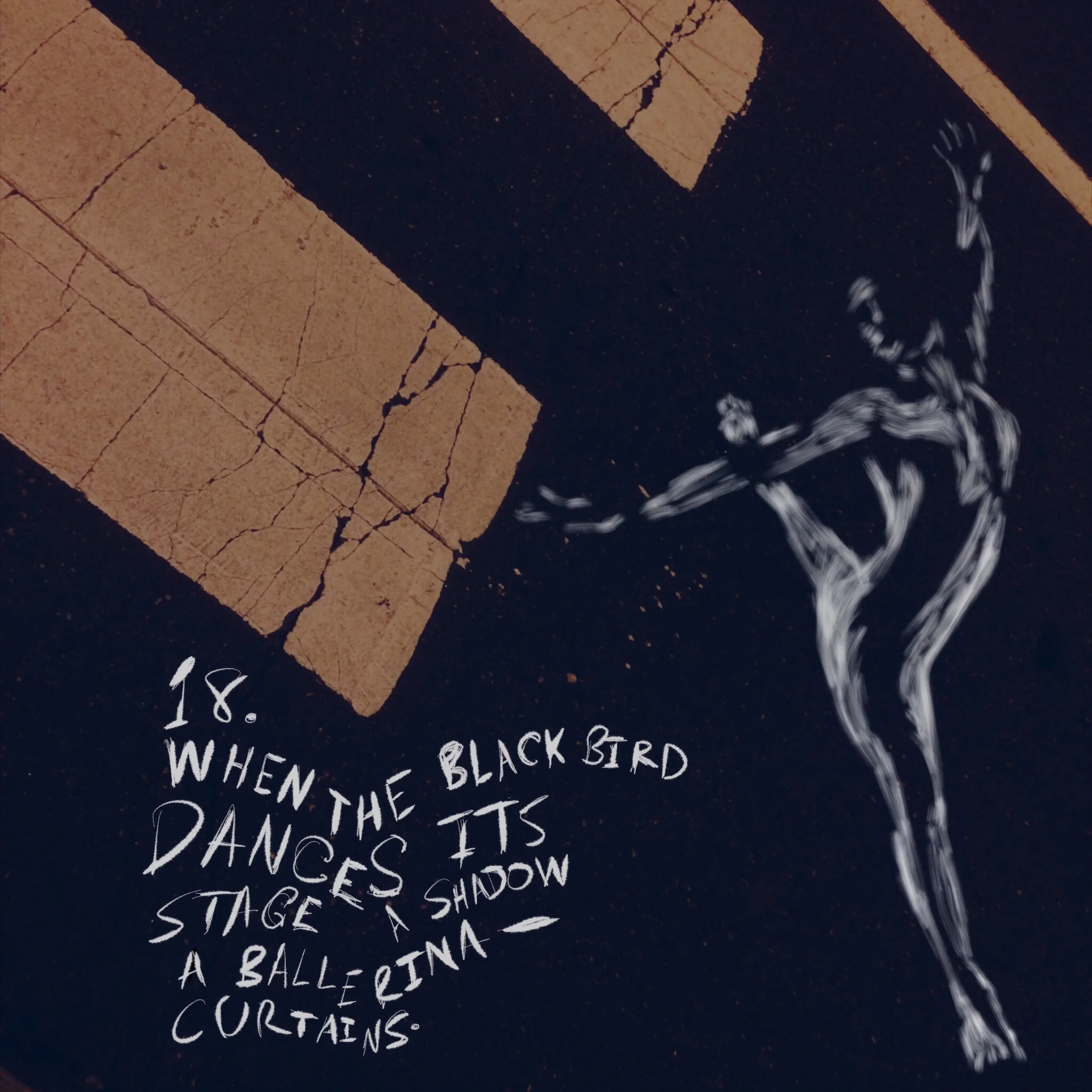 #JawnADay 2014-08-24 18. When the blackbird dances, its stage--a shadow, a ballerina--curtains.