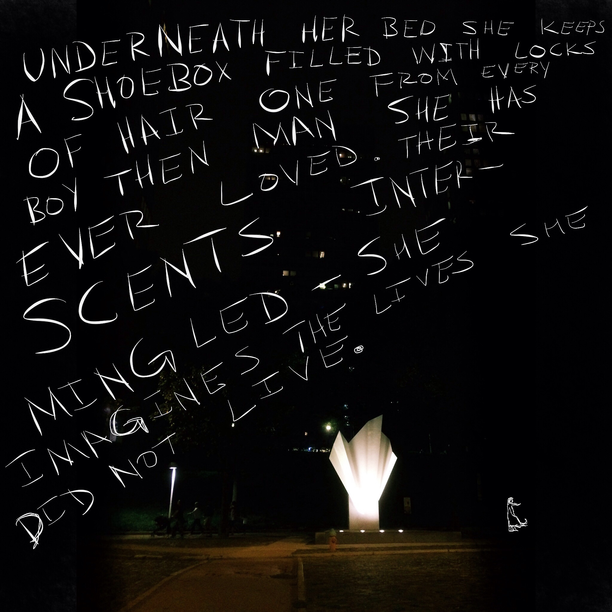 Underneath her bed, she keeps a shoebox filled with the locks of hair--one from every boy then man she has ever loved. Their scents intermingled--she imagines the lives she did not live. 