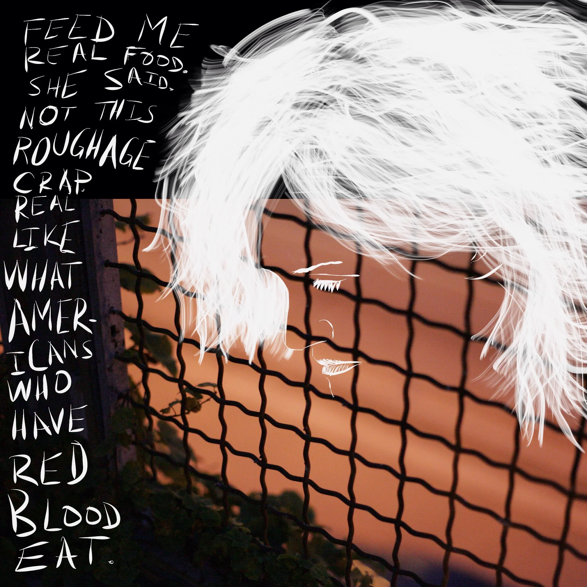 Feed me real food. She said. Not this roughage crap. Real like what Americans who have red blood eat. 