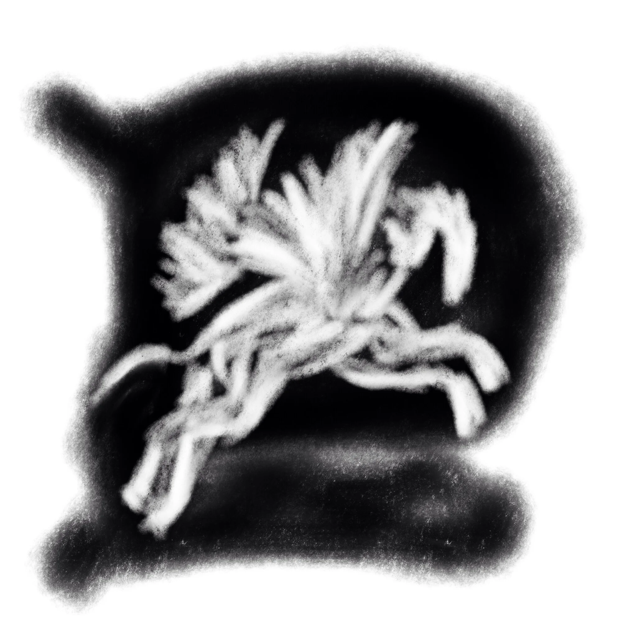 On Comprehension Of Poetry And Langauge -- A Coursera ModPo Forum Post