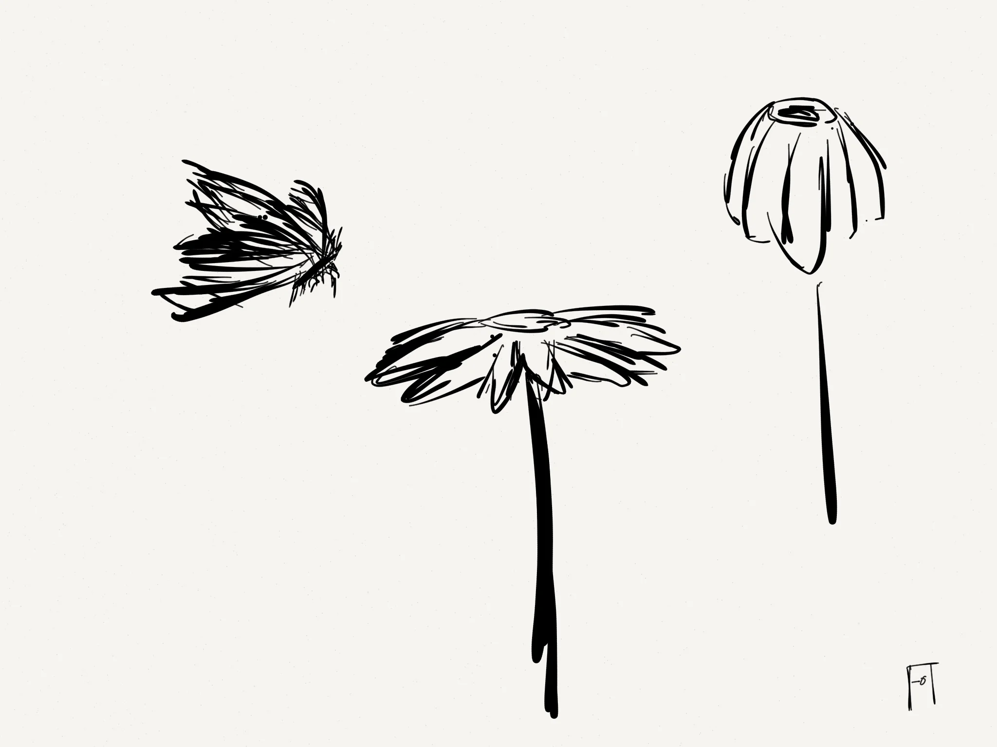 #Sketchological 2014-11-02