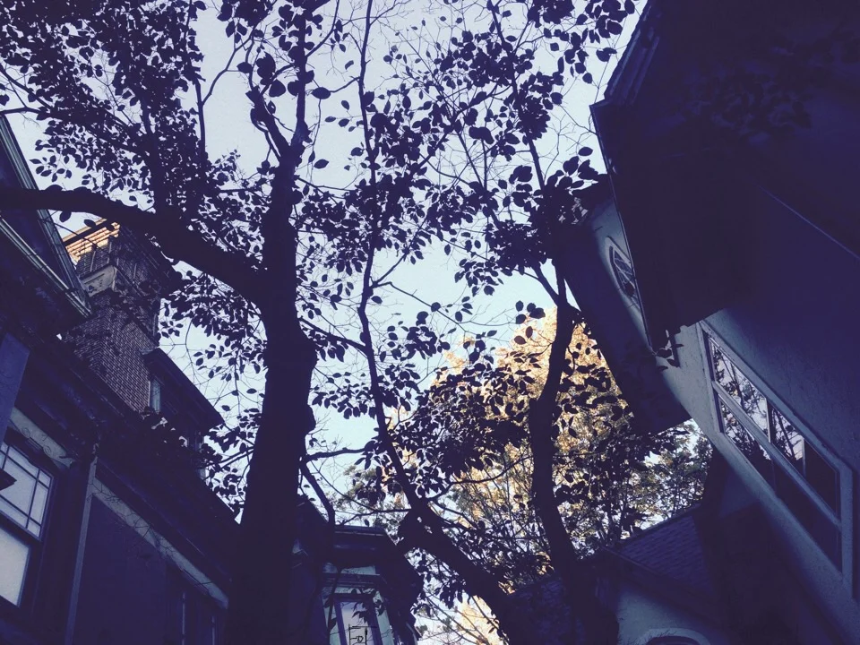 #PhotoLog #2014-11-02