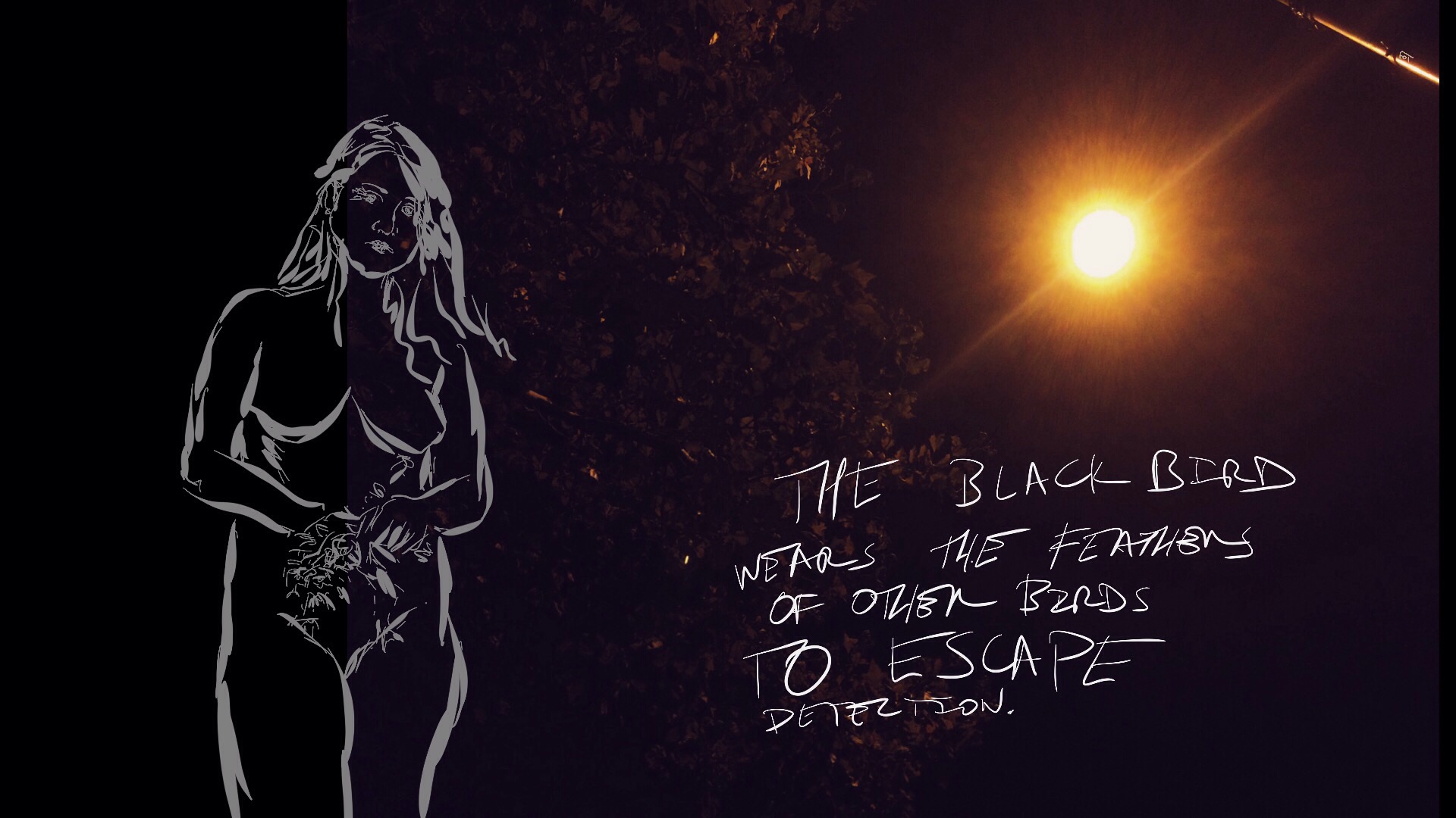 #JawnADay 2014-11-03 The Blackbird Wears The Feathers Of Other Birds To Escape Detection.