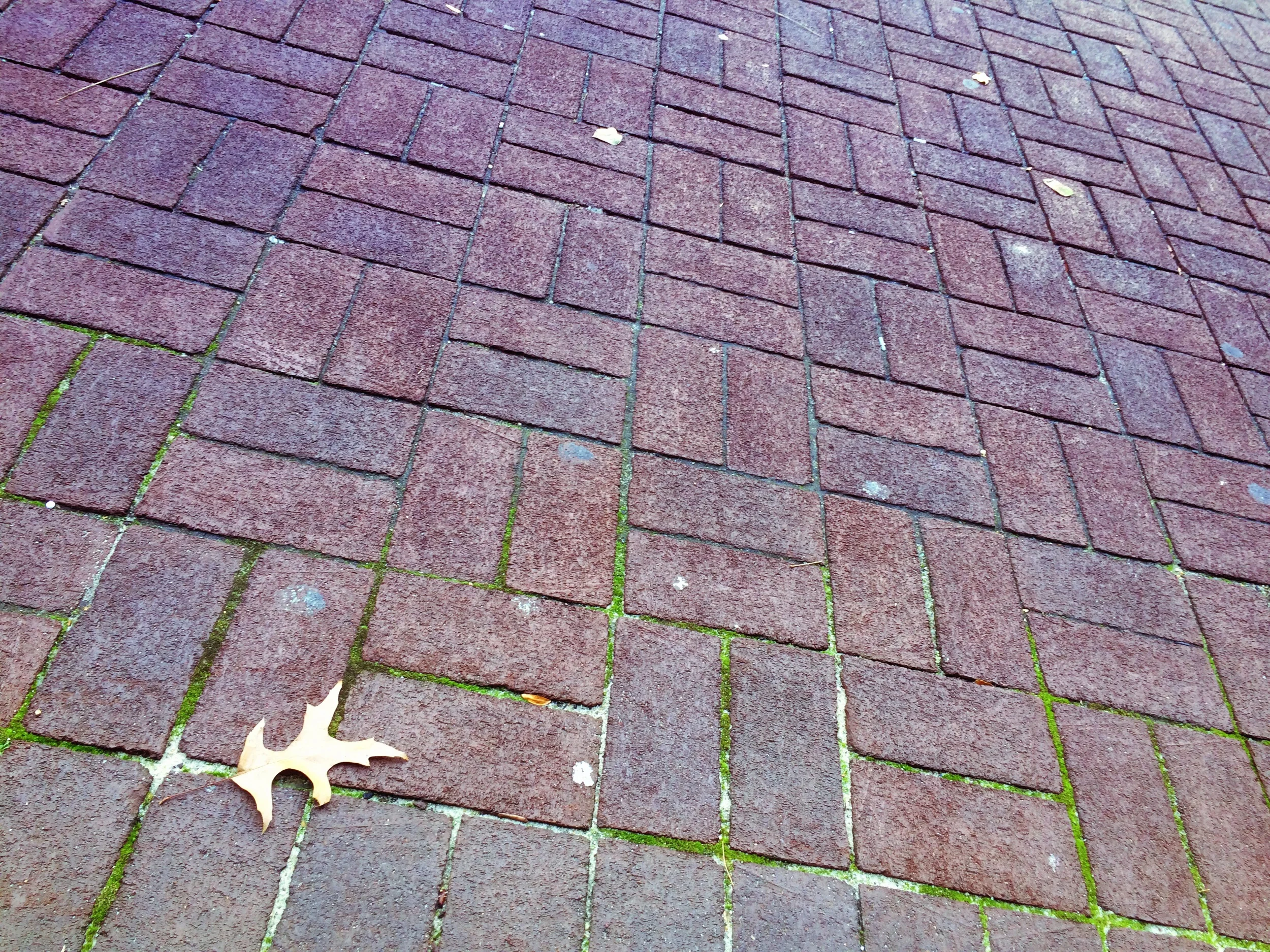 #PhotoLog 2014-11-11