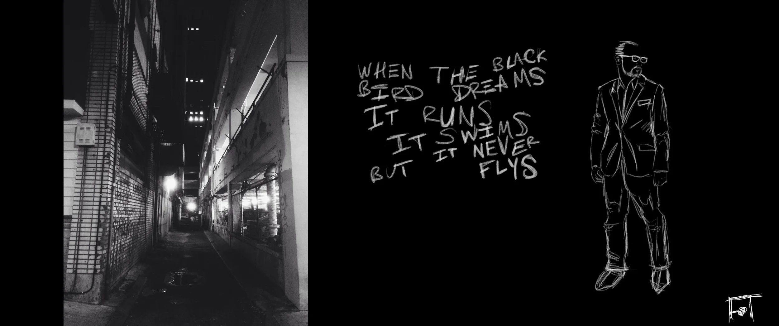 #JawnADay 2014-11-18 When the black bird dreams it runs, it swims, but it never flys.