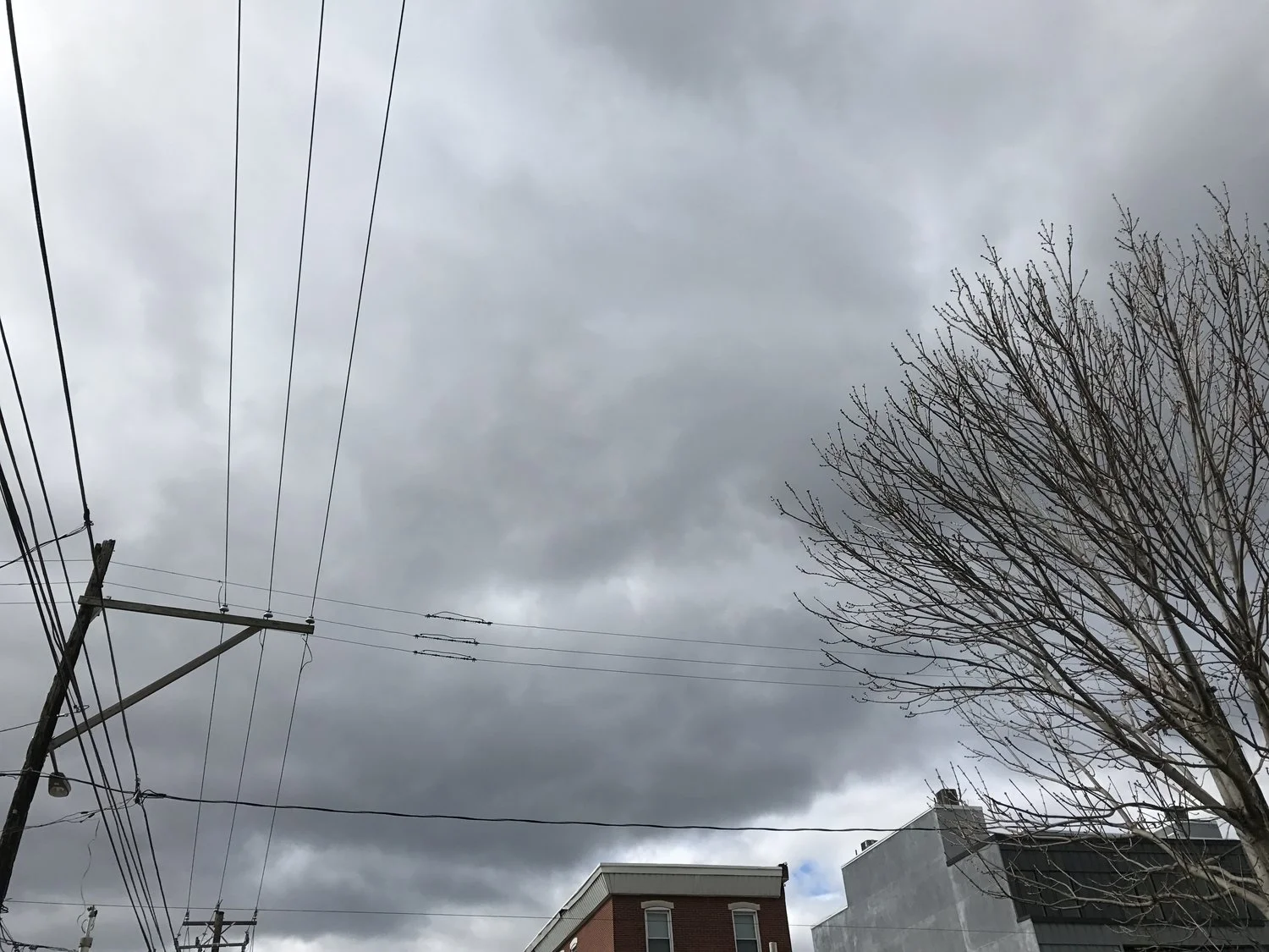 Celling 2017-04