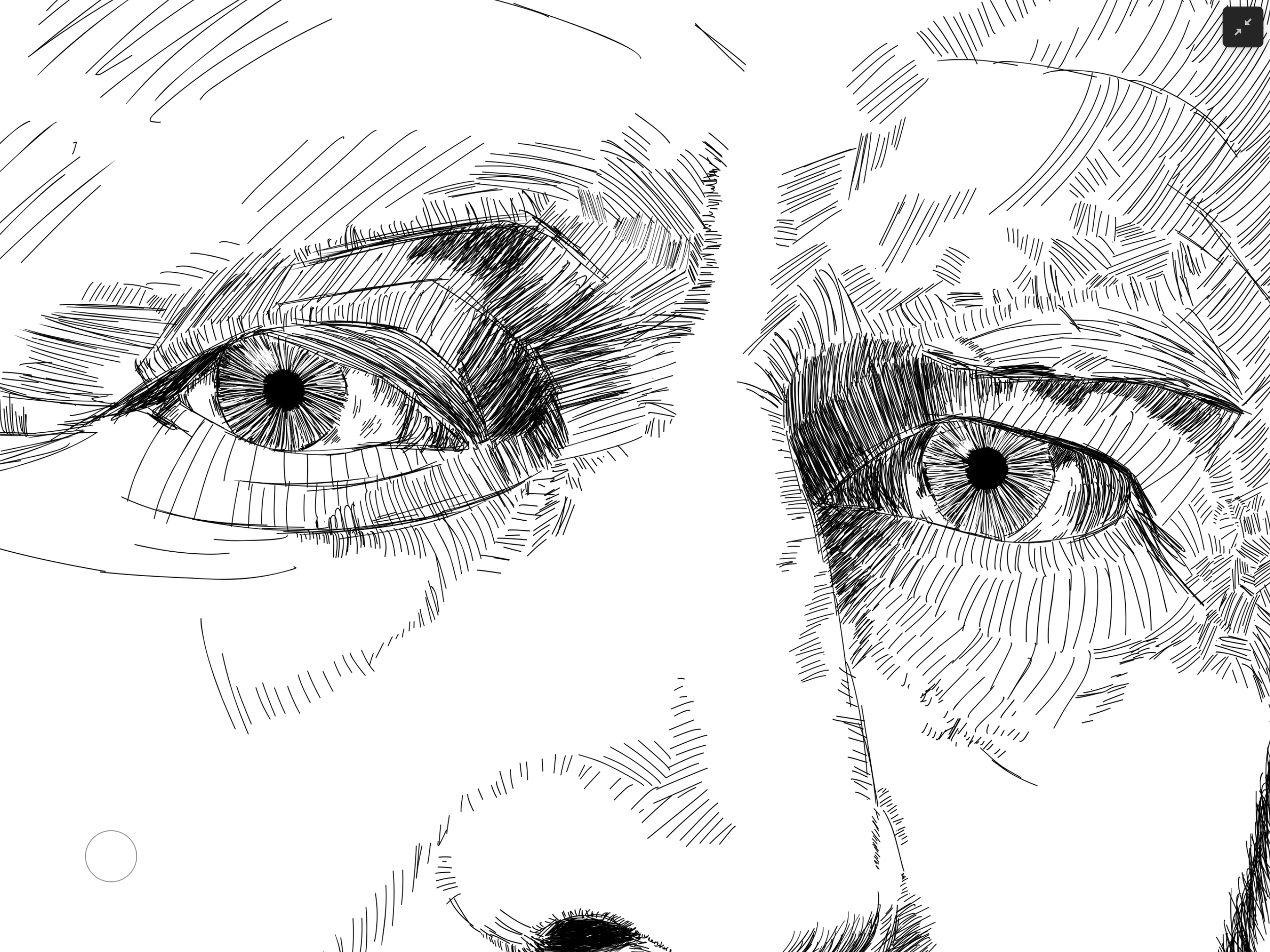 IMG_0437.png