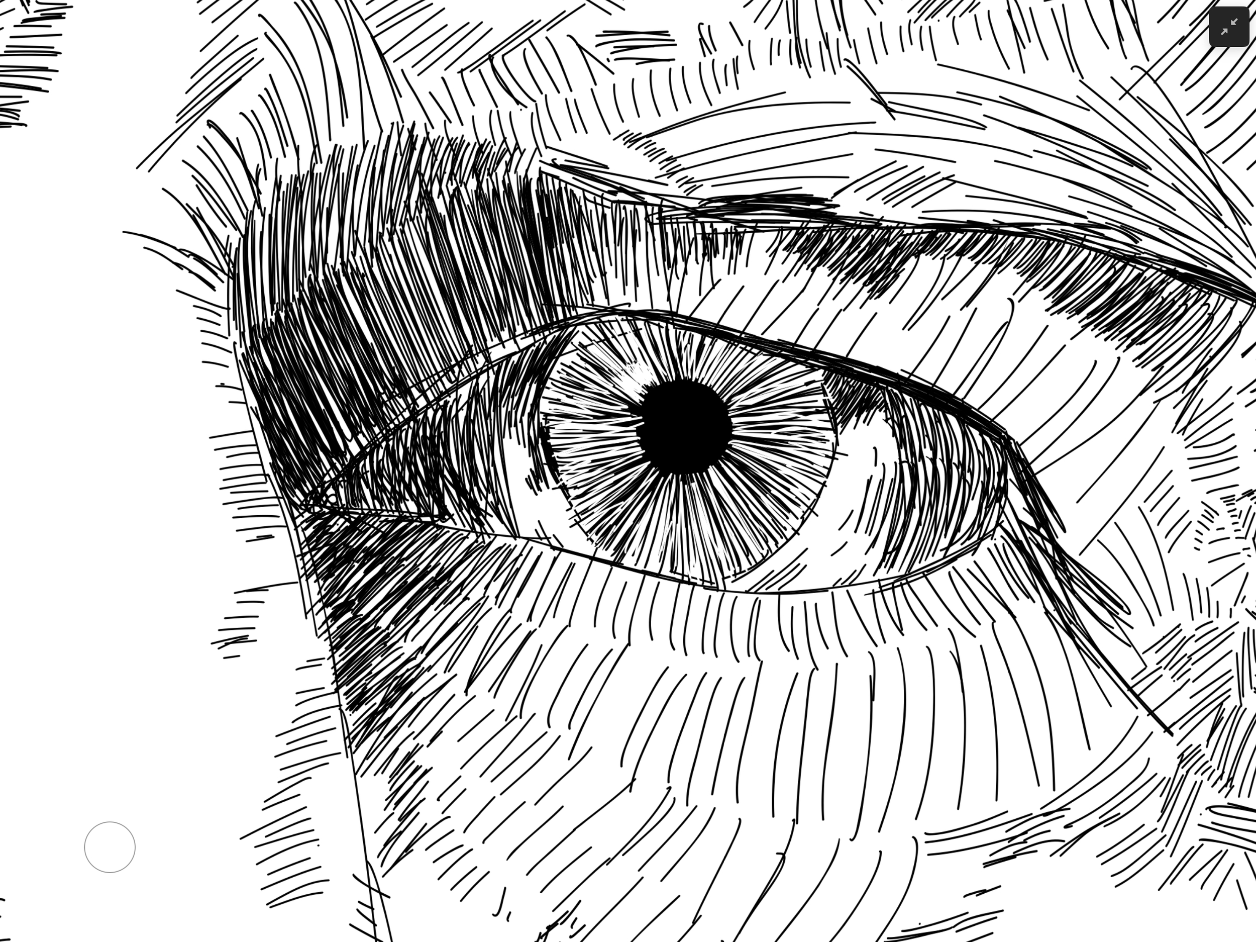 IMG_0435.png