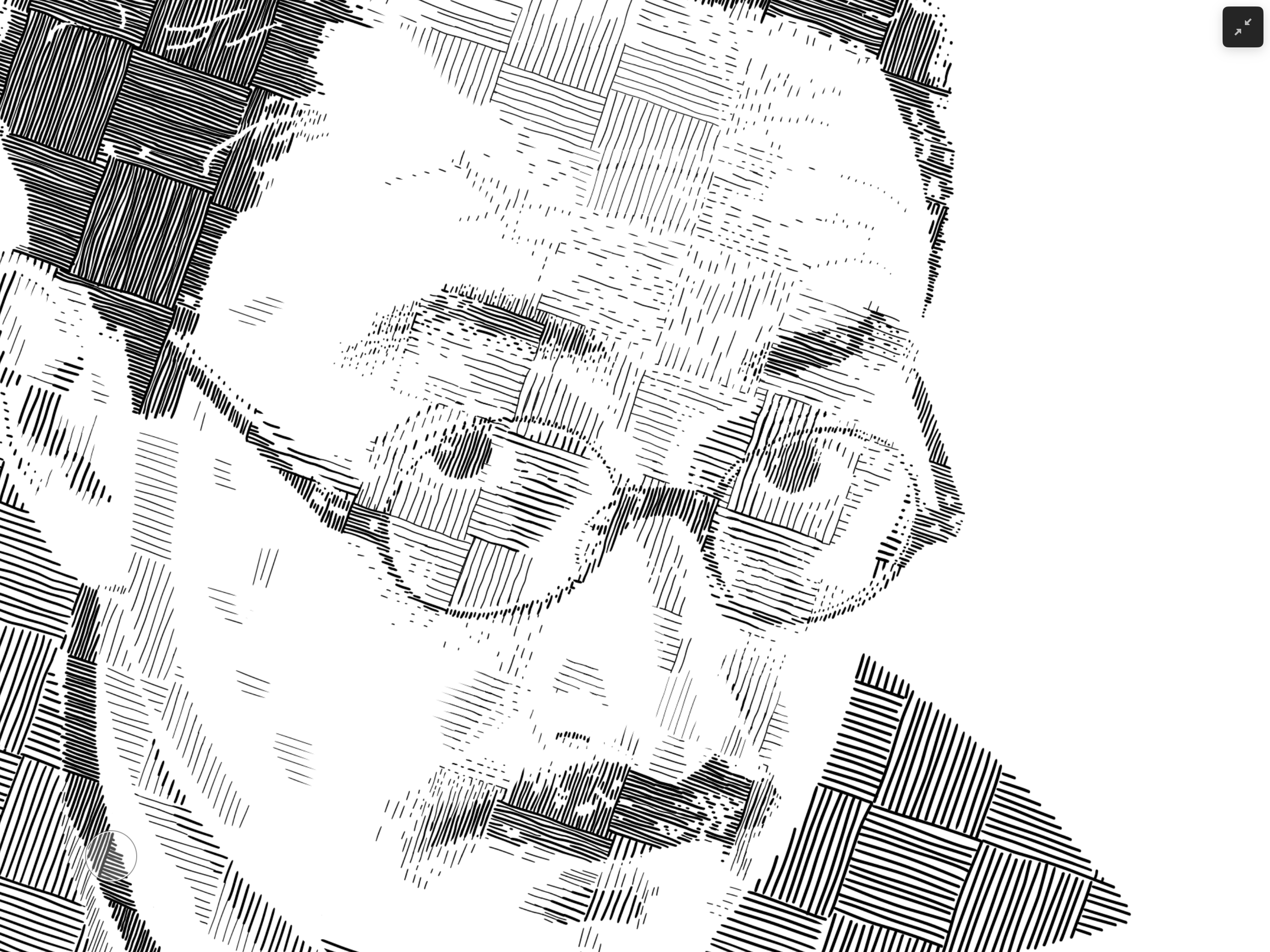 IMG_0406.png