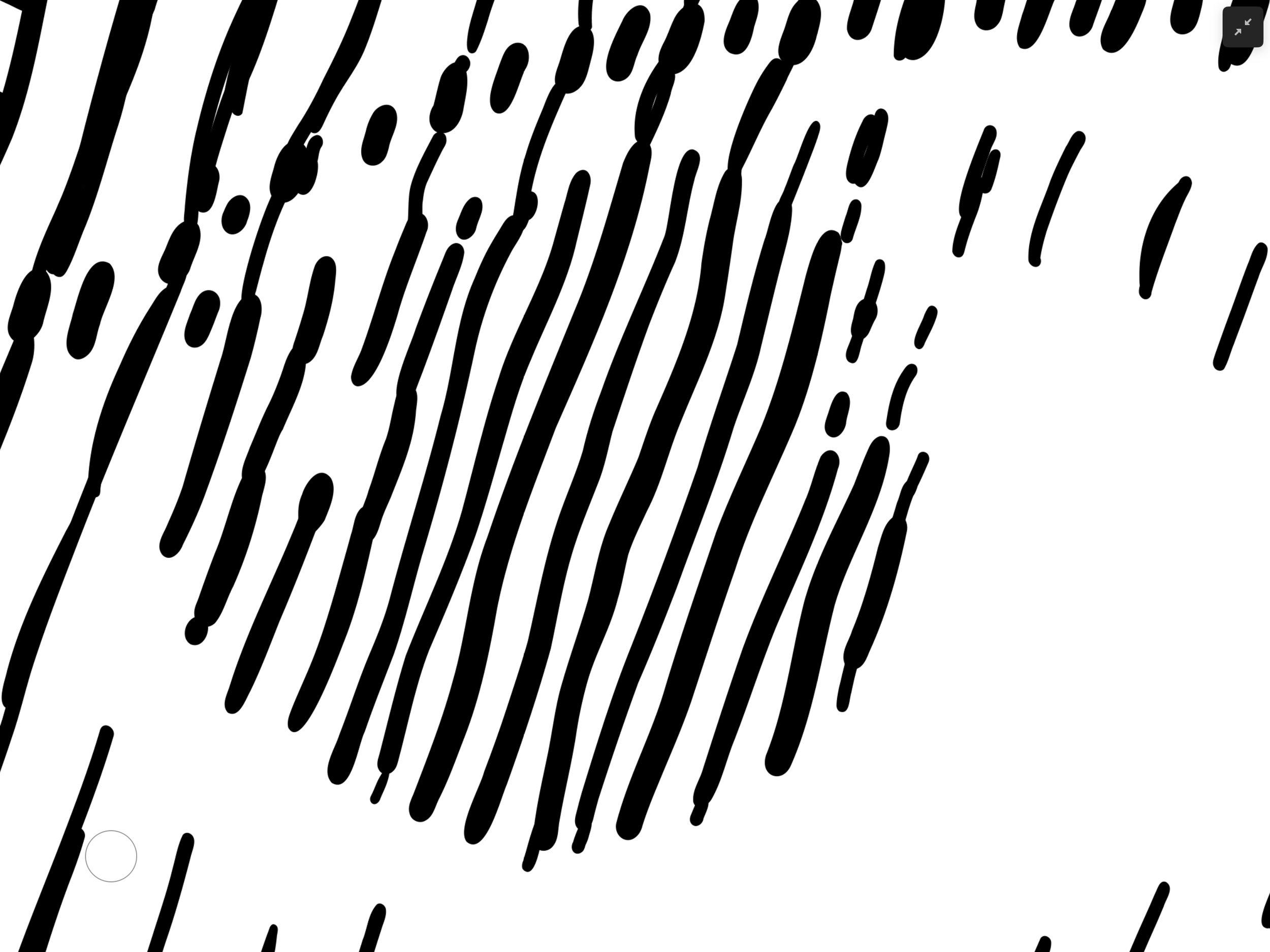IMG_0404.png