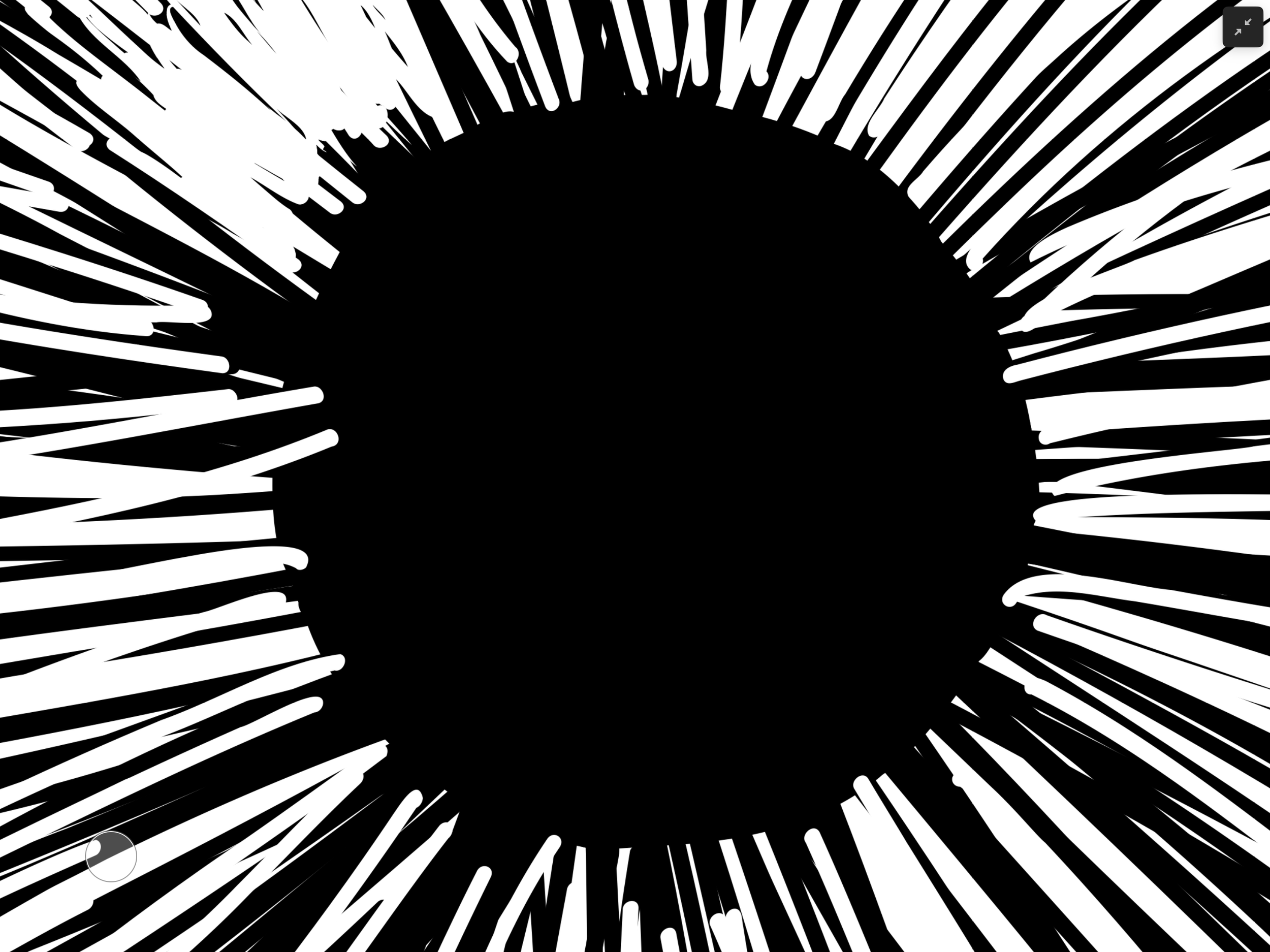 IMG_0433.png