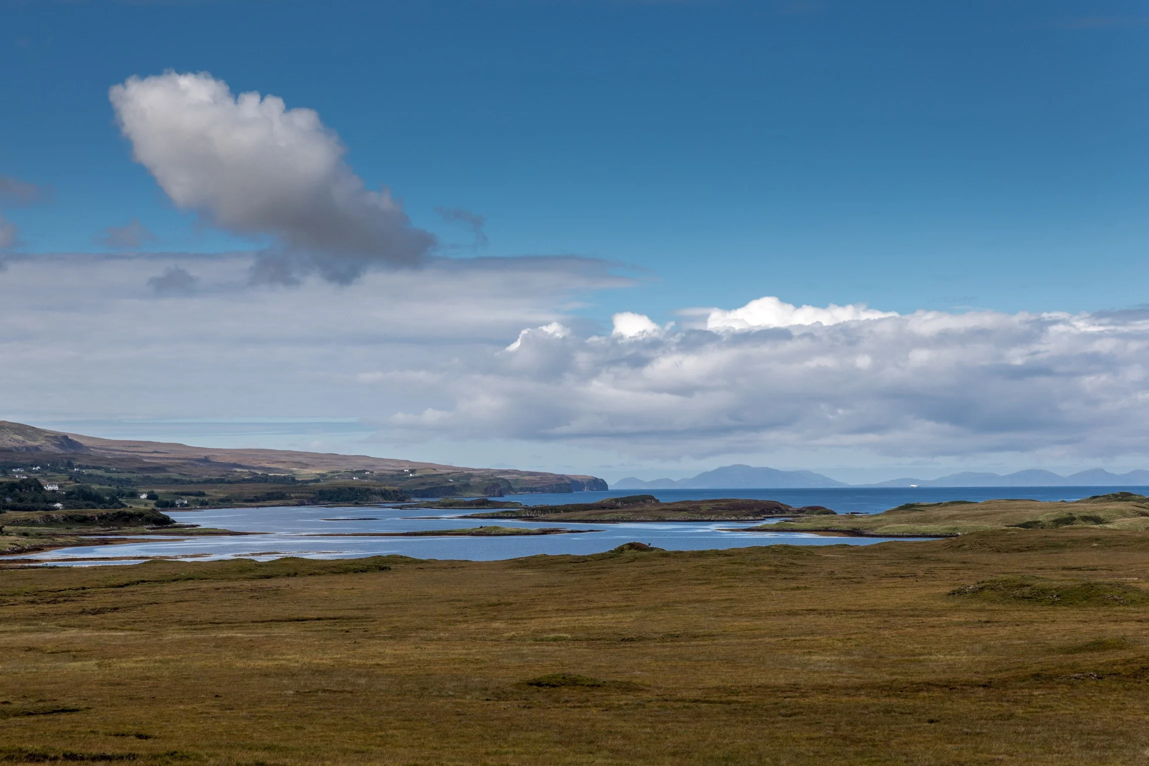 AA1O0972.jpg