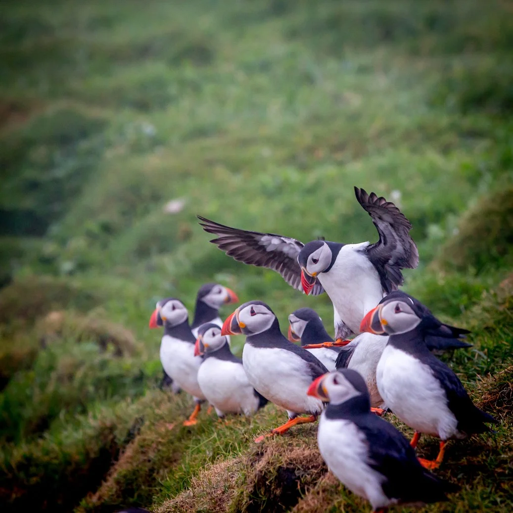 Mykines