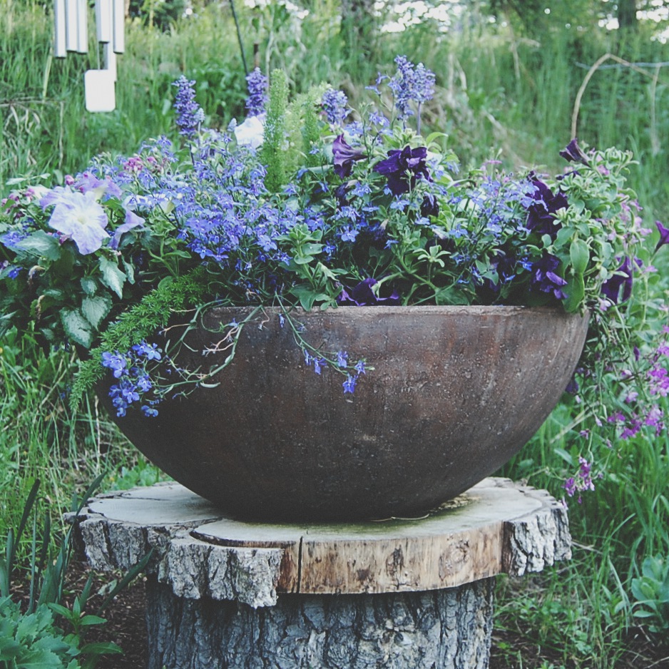 The Purple Planter