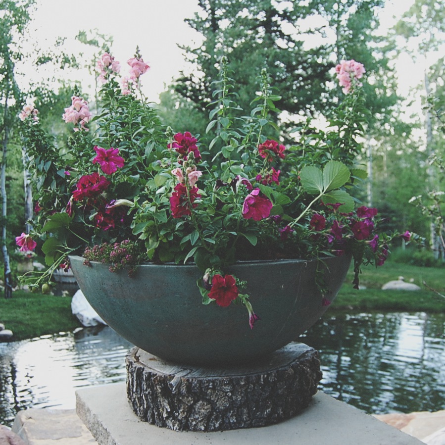 The Hot Pink Planter
