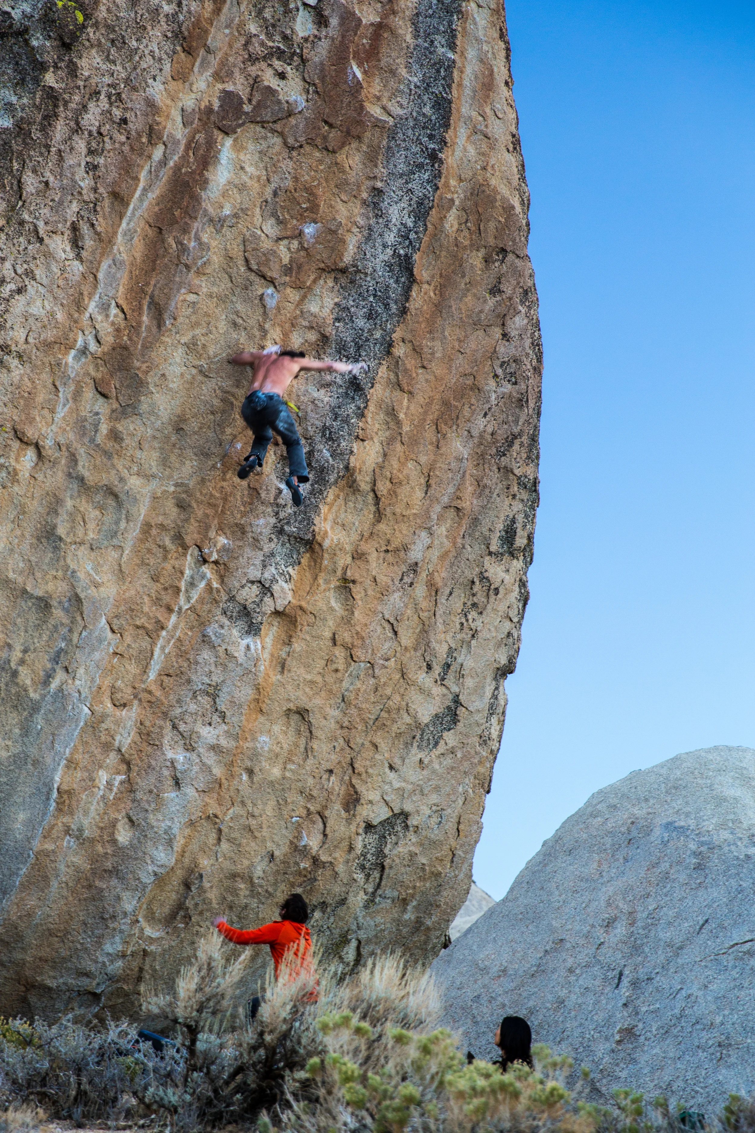Ambrosia (V11)