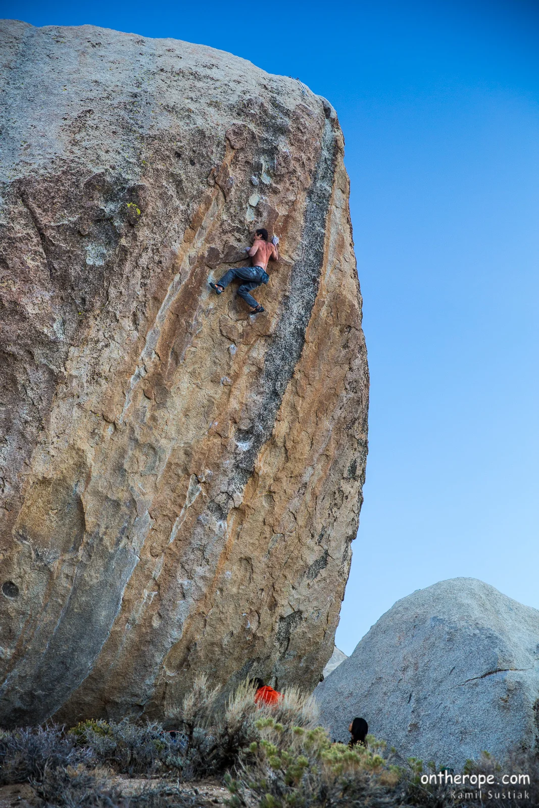 Ambrosia (V11)