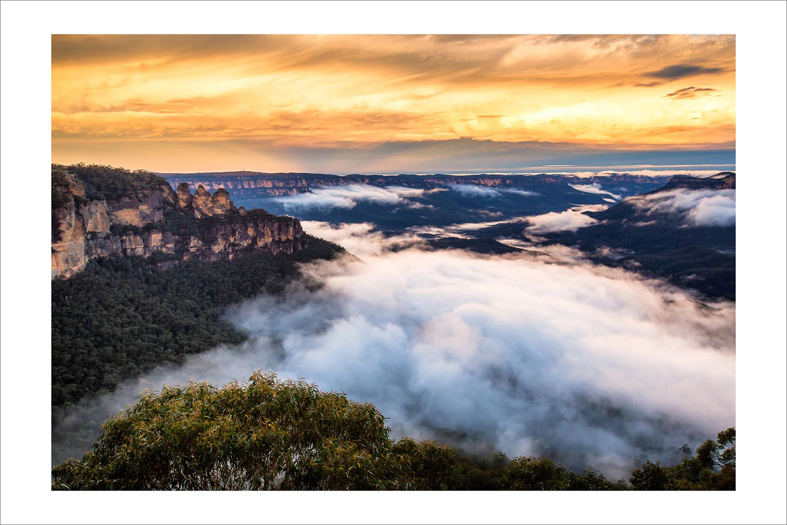 009A1599-Edit - 0 - unframed.jpg