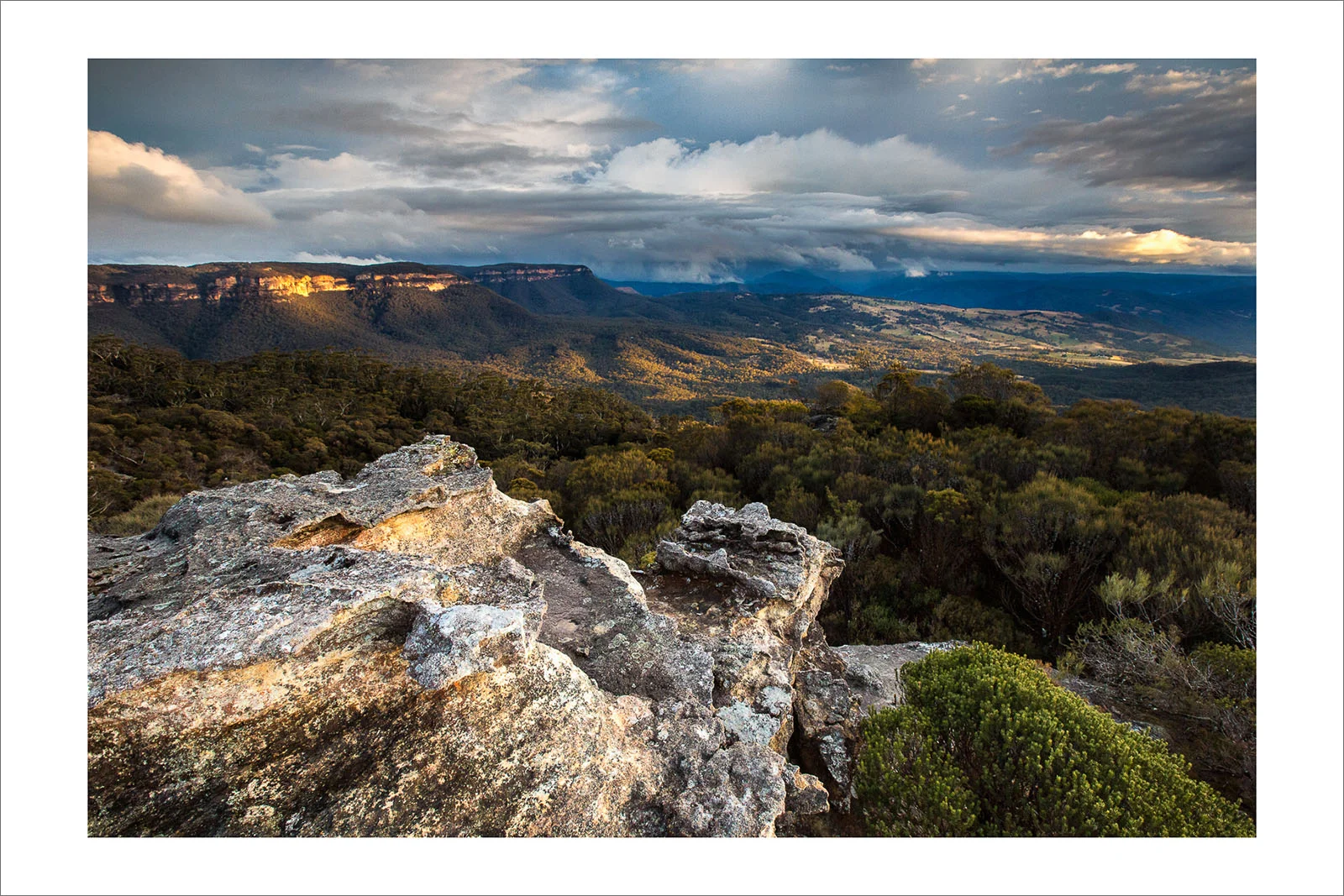 Radiata Plateau - Blue Mountains